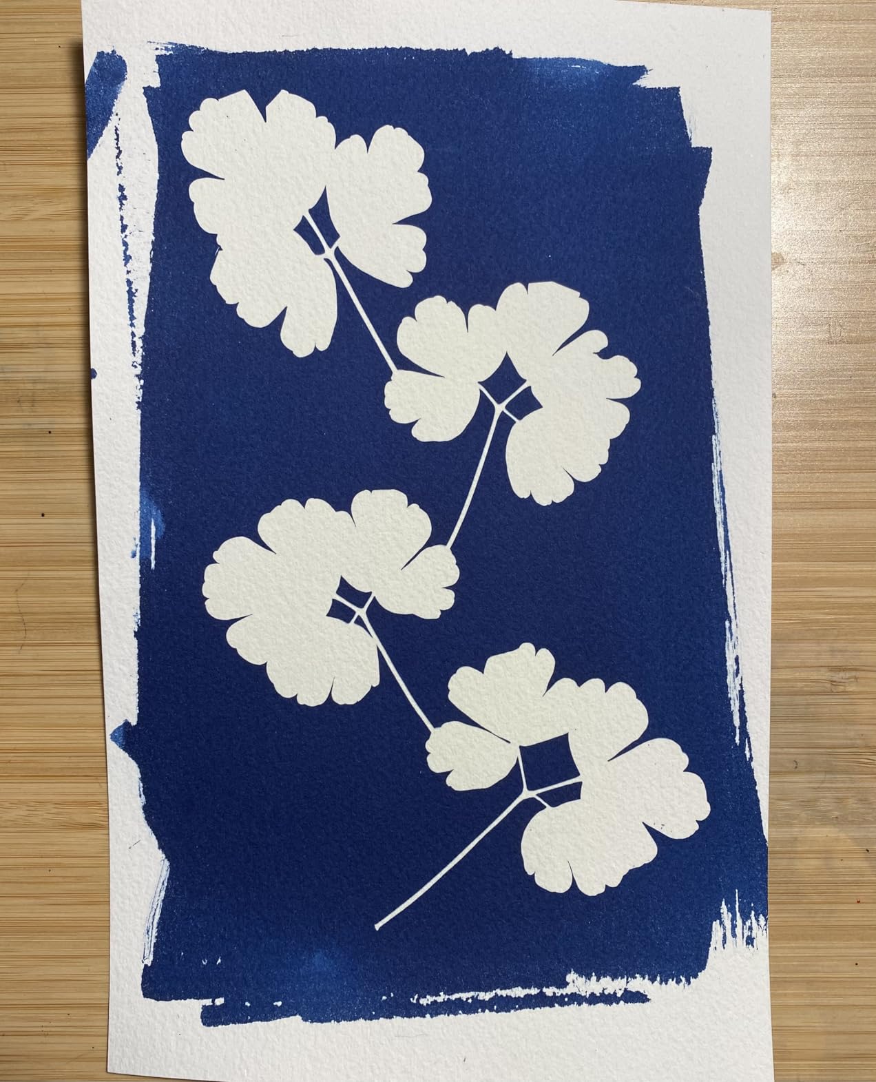 Jacquard Cyanotype Kit Sun Printing for Paper & Fabric Bundled Sponge Brush customer photo 1