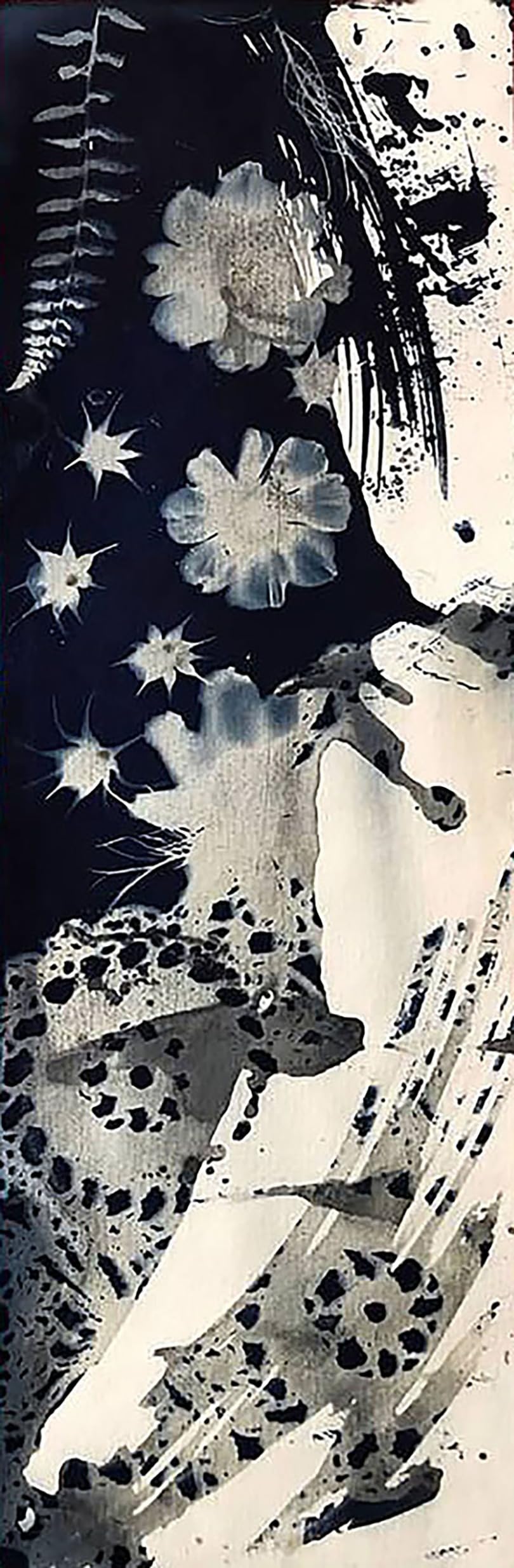 Jacquard Cyanotype Kit Sun Printing for Paper & Fabric Bundled Sponge Brush customer photo 2