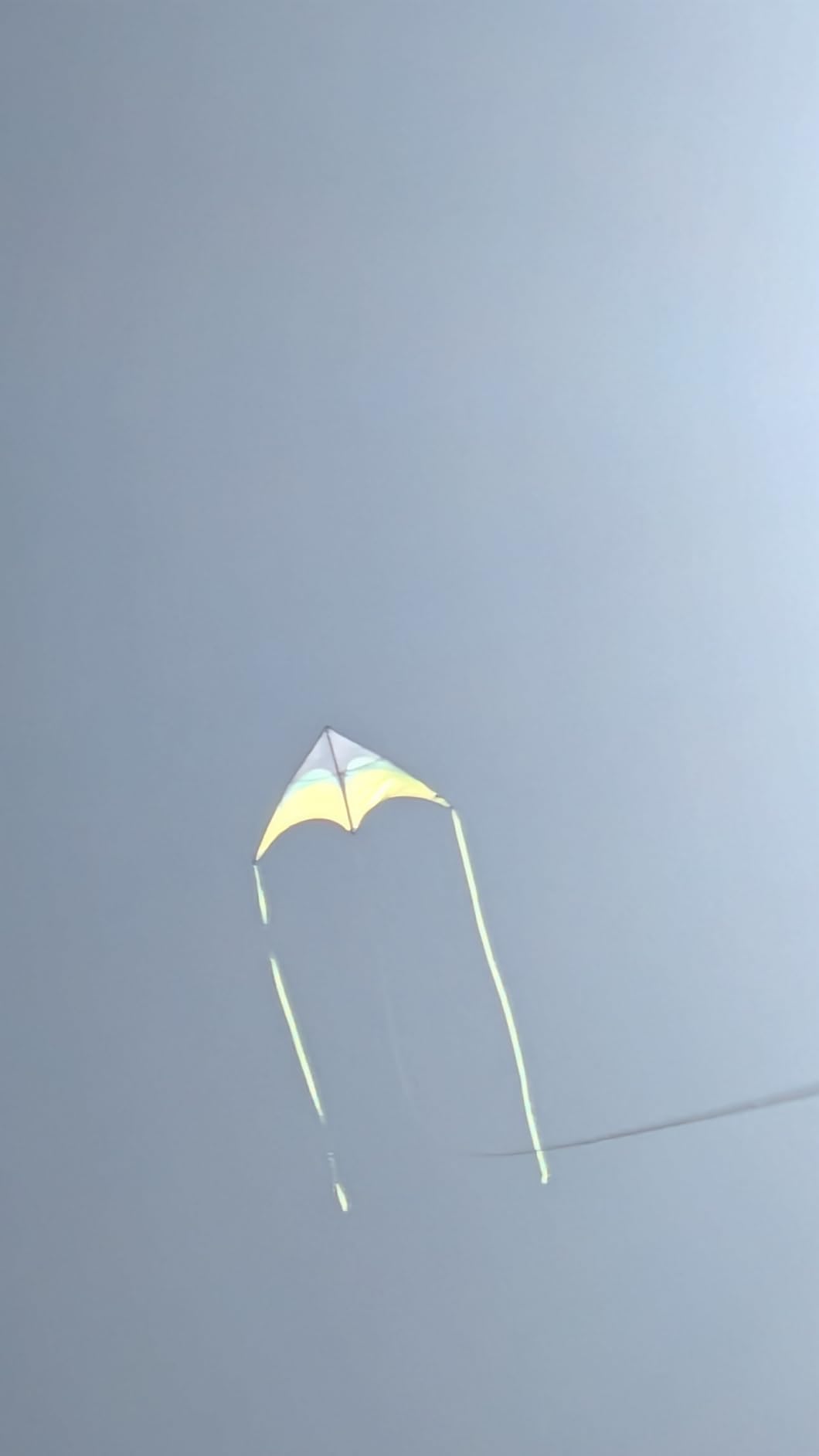 Delta Kite for Kids Ages 4-12, Extremely Easy to Fly Beach Kites for Adults | Best Kite for Beginners, 63