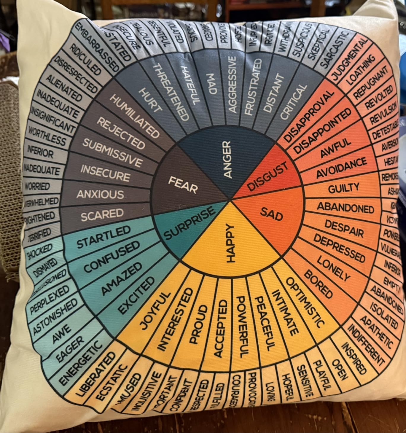 Wheel of Emotions Feelings Velvet Throw Pillow Covers Cozy Square Pillowcases Home Decor for Bed Couch Sofa Therapy Office Living Room Cushion Covers Counselor Physical Therapist Gifts 18