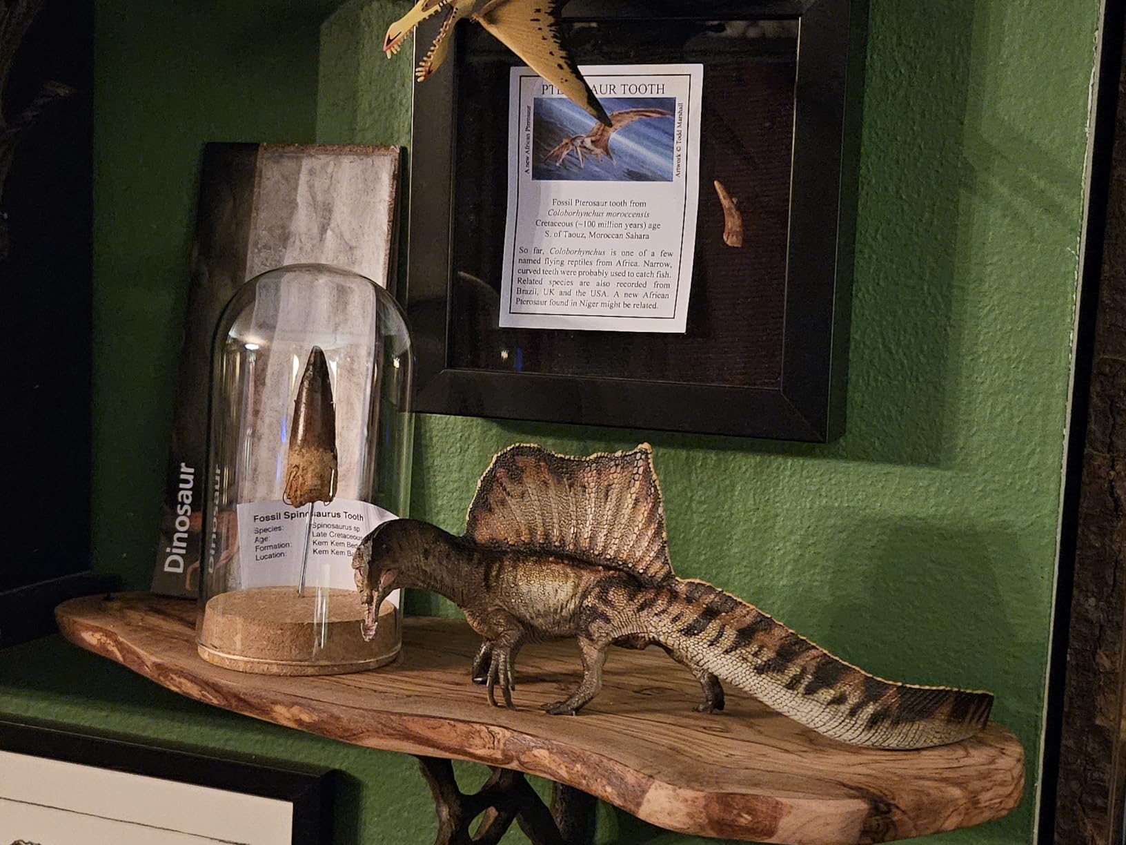 PNSO Prehistoric Dinosaur Models: 35 Essien the Spinosaurus | 9.1