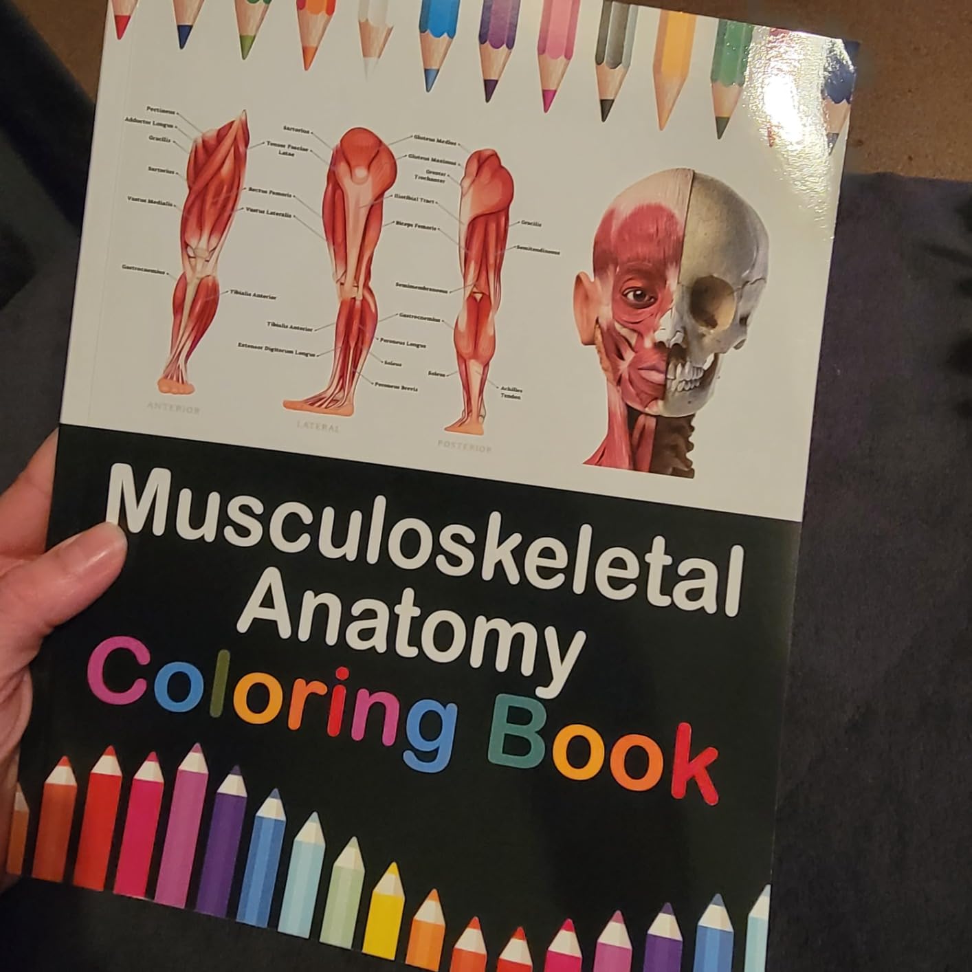 Musculoskeletal Anatomy Coloring Book: Kinesiology of the musculoskeletal system, Anatomy coloring book muscles customer photo 1