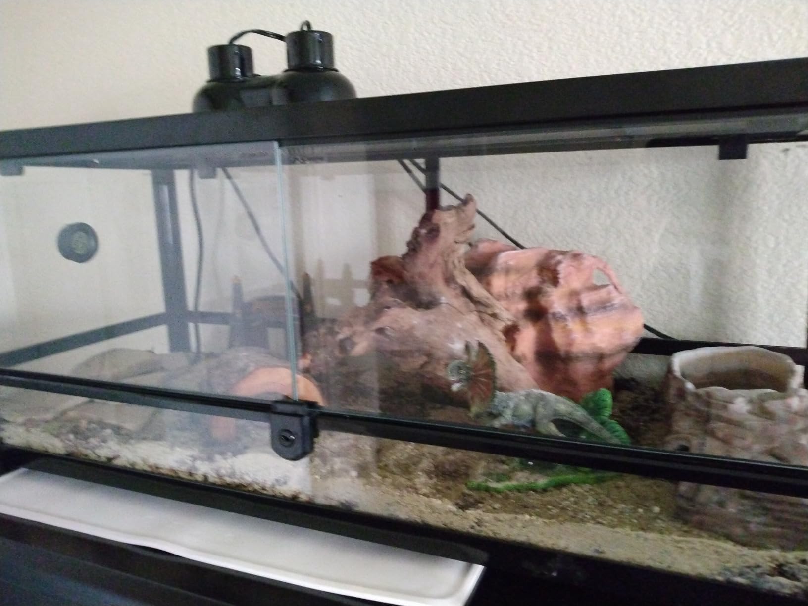 REPTI ZOO Glass Reptile Terrarium 20 Gallon, Front Opening Reptiles Tank 30 x 12x 12 for Reptile Pets Gecko Lizard Snake, Top Screen Ventilation Escape Proof Lid customer photo 1