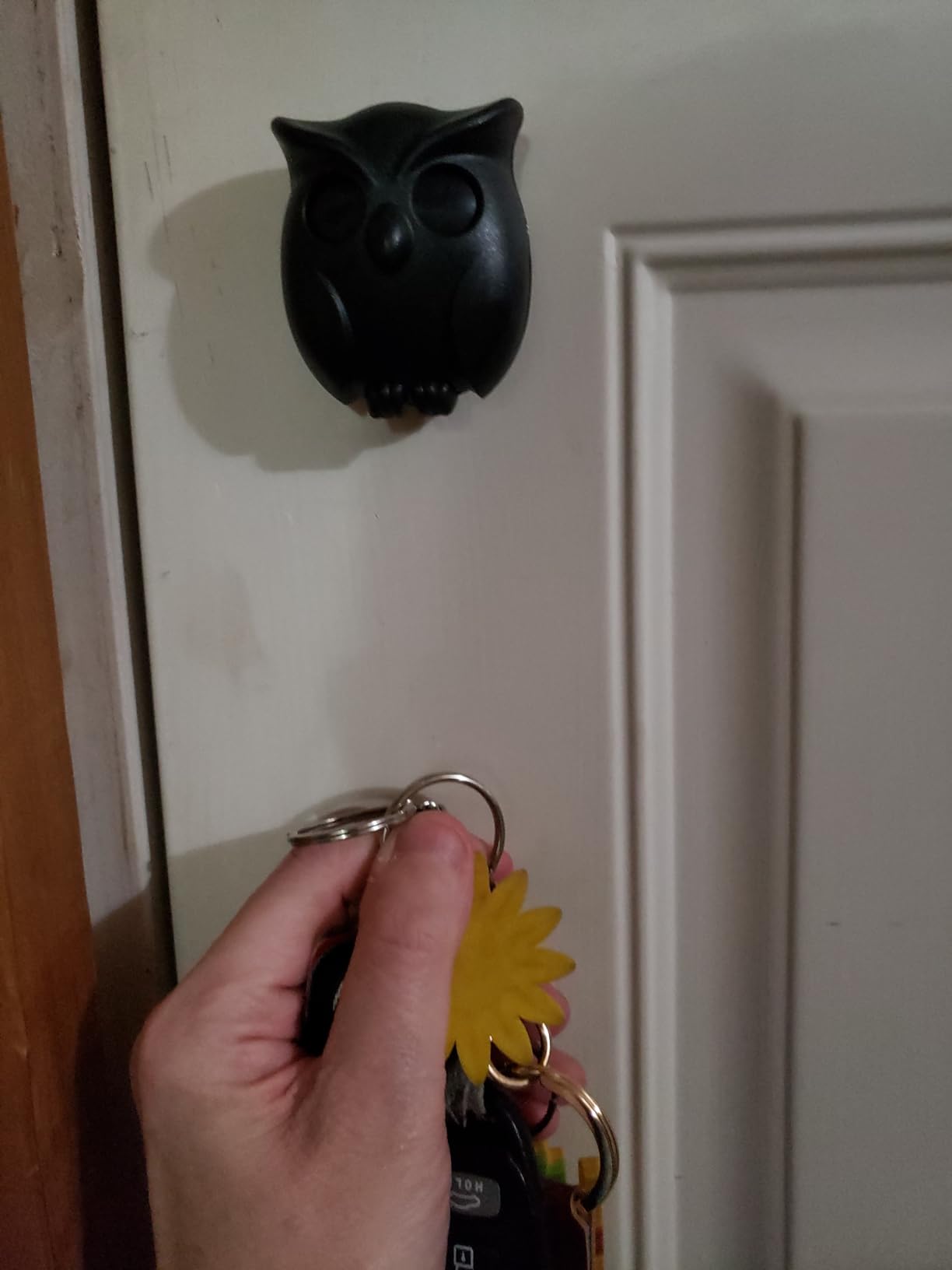 3PCS Owl Key Holders Automatic Open Close Eyes Cute Bird Key Holder customer photo 2