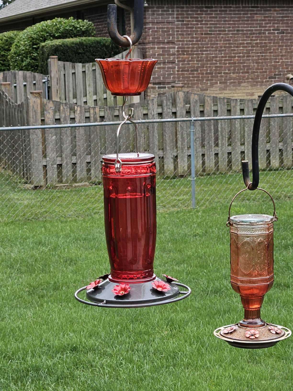 Kingsyard Glass Hummingbird Feeder for Outdoors Wild Bird Feeder with 6 Feeding Ports Hanging for Garden Yard, Red (Ant Moat Included) customer photo 1