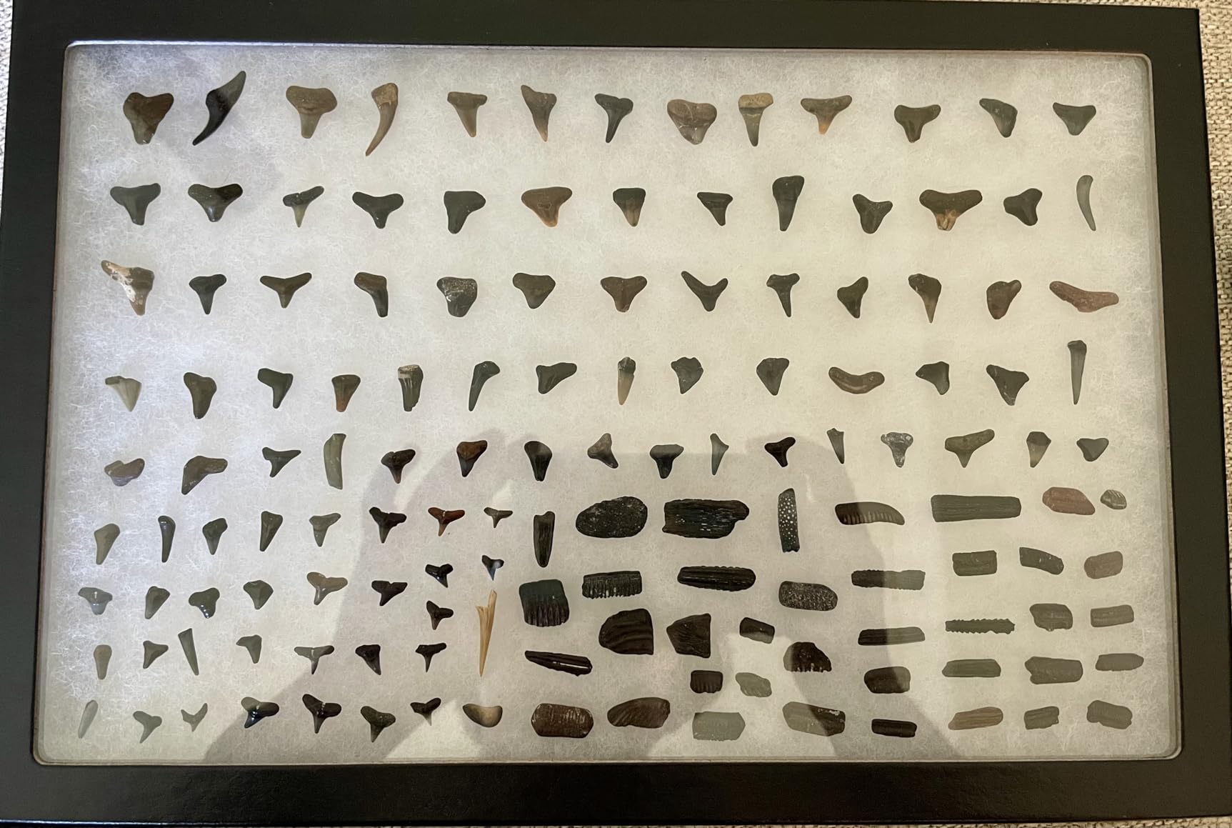 Riker Glass Top Display Cases for Collectables, Arrowheads, Medals & More (3 Pack 4 x 3 x 0.75) customer photo 2