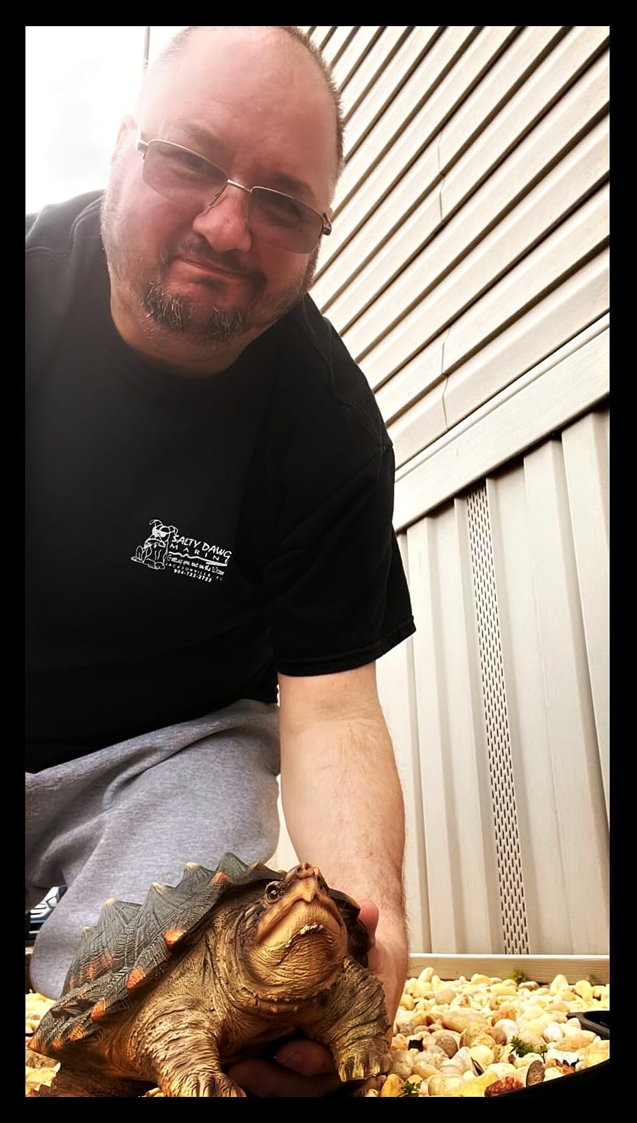 Hi-Line Gift Ltd. SNAPPING Turtle Statue, Brown and Green customer photo 1