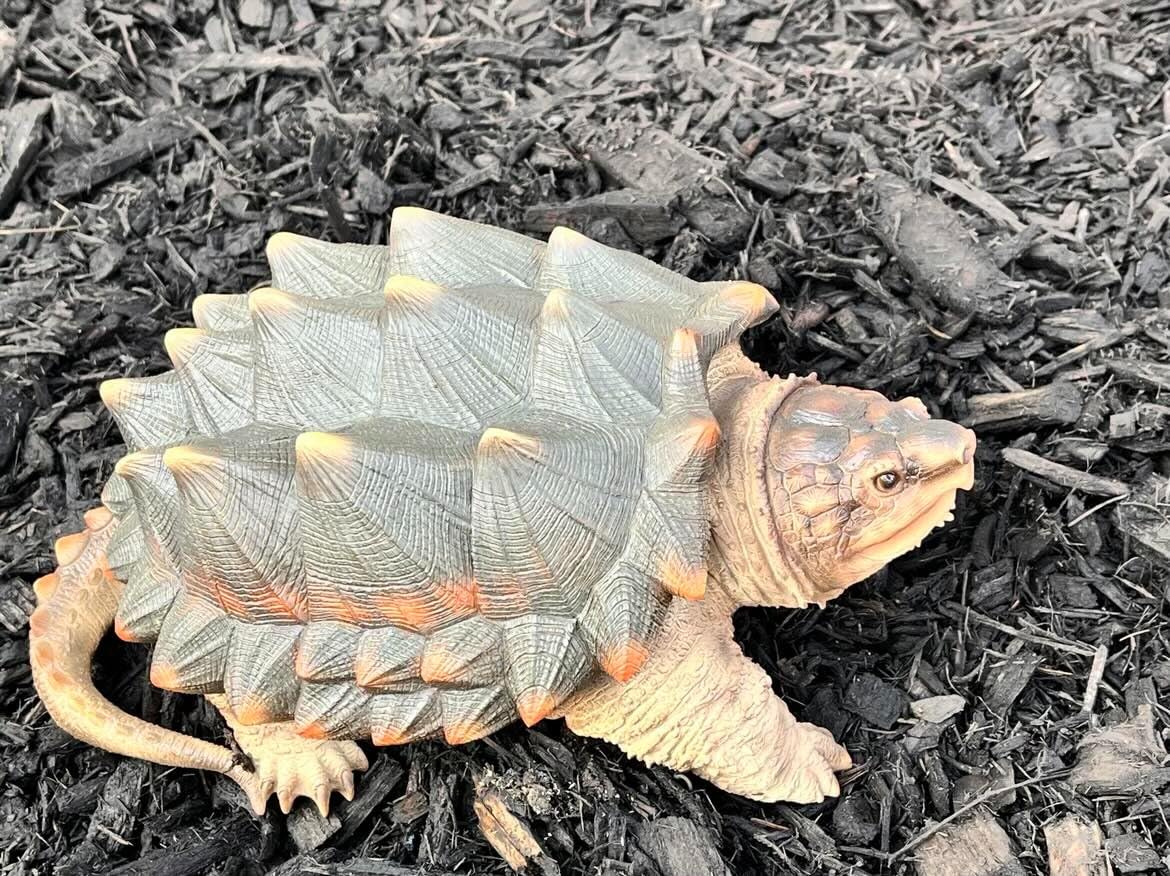 Hi-Line Gift Ltd. SNAPPING Turtle Statue, Brown and Green customer photo 2