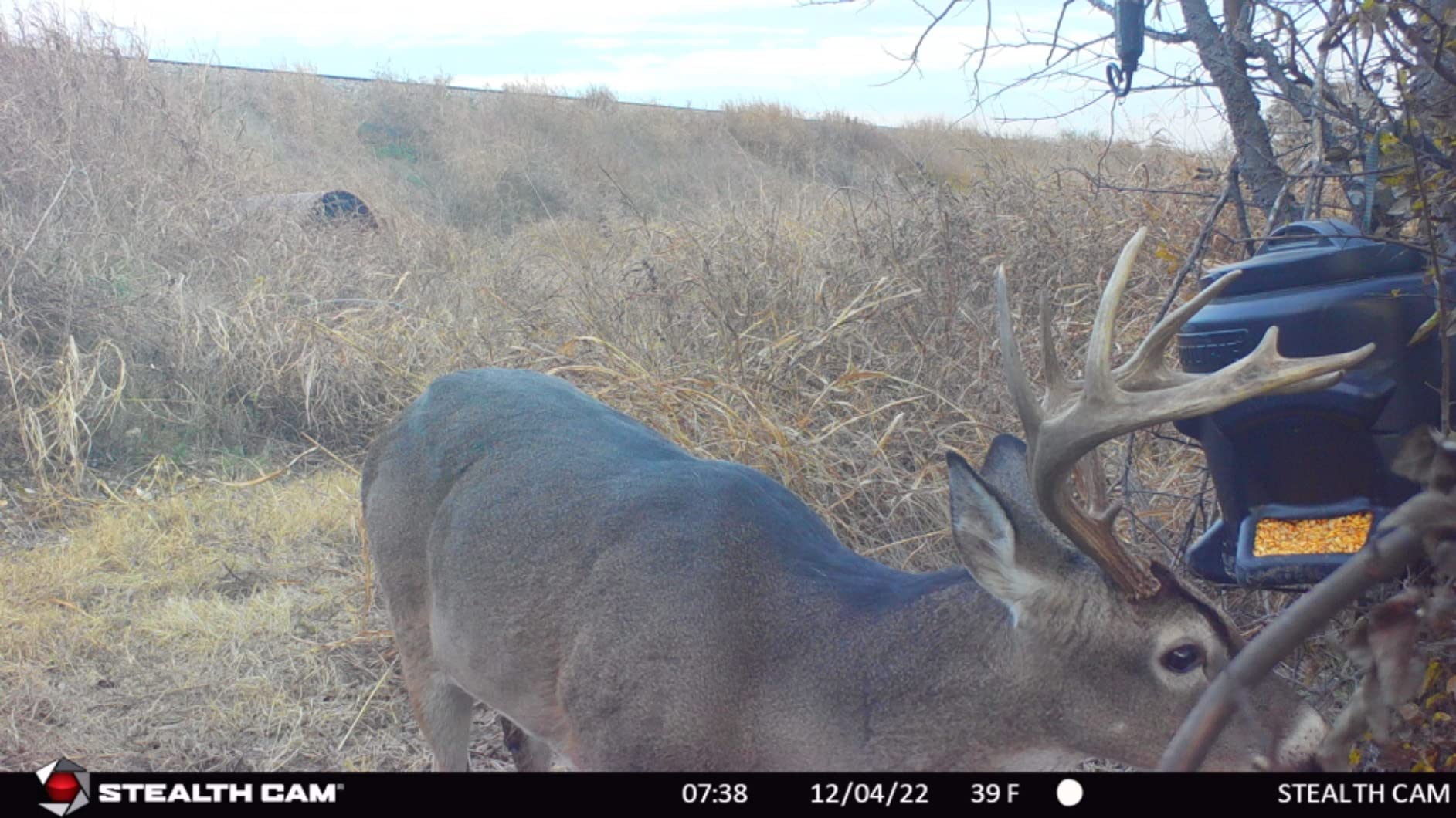 Moultrie Gravity Tripod Feeder, Choose Model customer photo 2