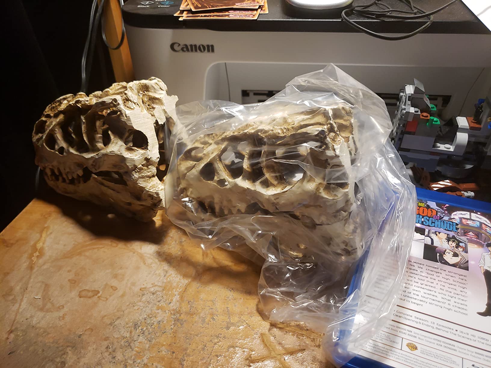 Tyrannosaur Skull T-Rex Skull Gifts Lifelike Resin Crafts Dinosaur Skull Fossil Teaching Skeleton Model Home Aquarium Decor (A) customer photo 2
