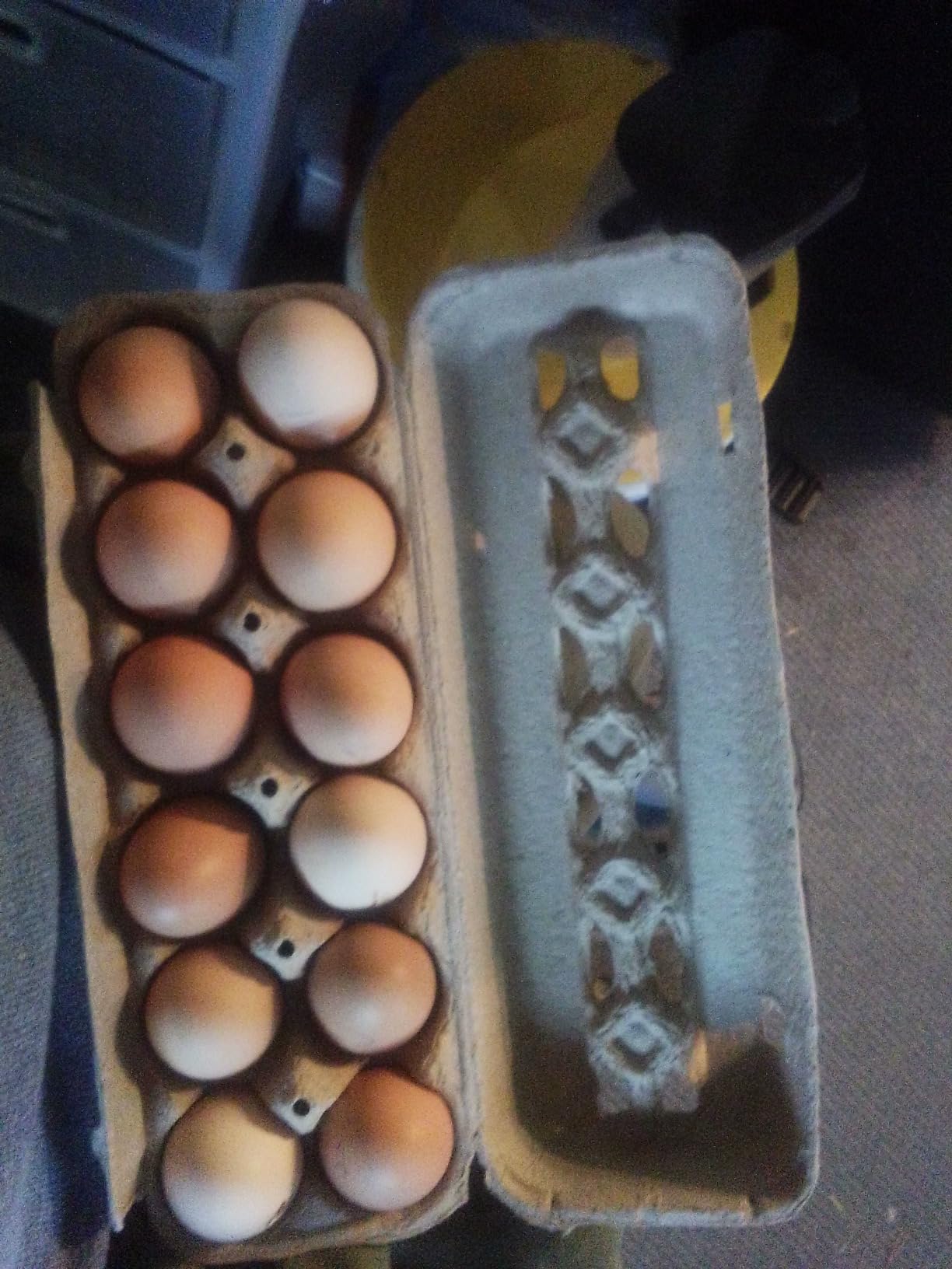 Vented Paper Pulp Egg Cartons Holds 1 Dozen Chicken Eggs (24 Pack) customer photo 1