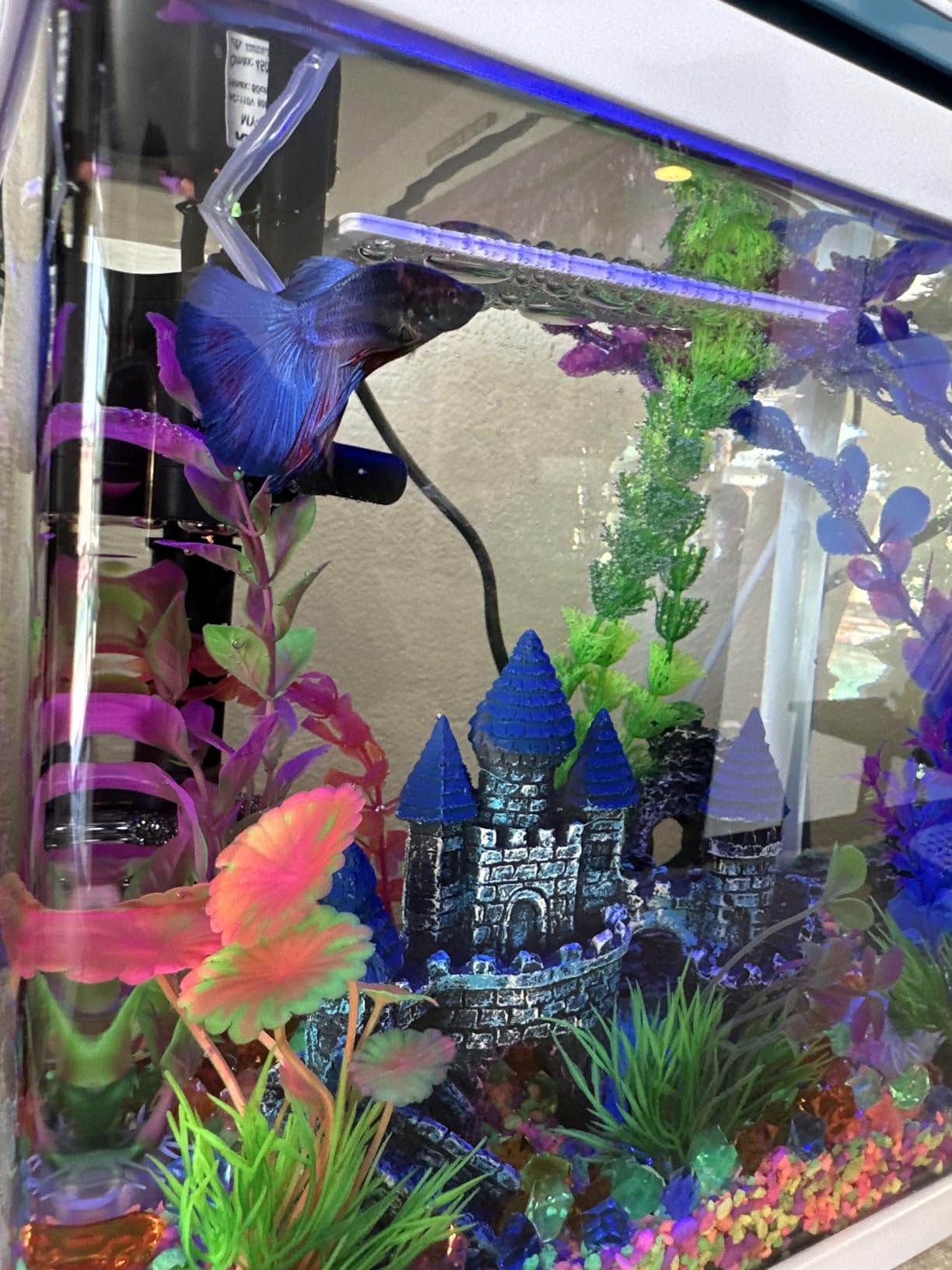 Mechpia 13 Pieces Aquarium Decorations Kit, Fish Tank Decorations Set Small Resin Castle and Rockery Betta Fish Cave Hideout Coral Artificial Plastic Plants Ornament Accessories customer photo 2