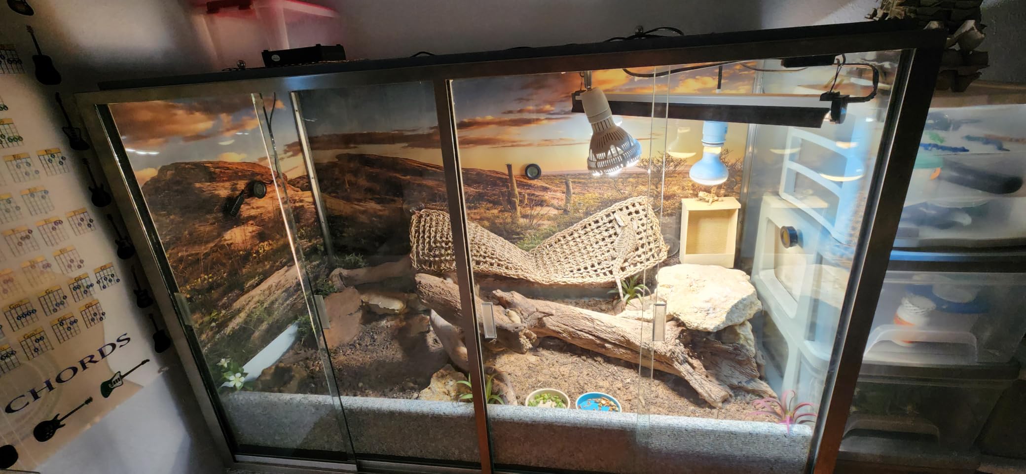 36x18 in Desert Reptile Habitat Backdrop Oasis Cactus Terrarium Background customer photo 2