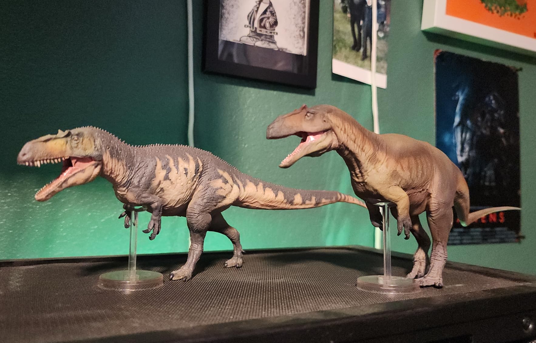 PNSO Prehistoric Dinosaur Models: 46 Austin the Pachycephalosaurus customer photo 2