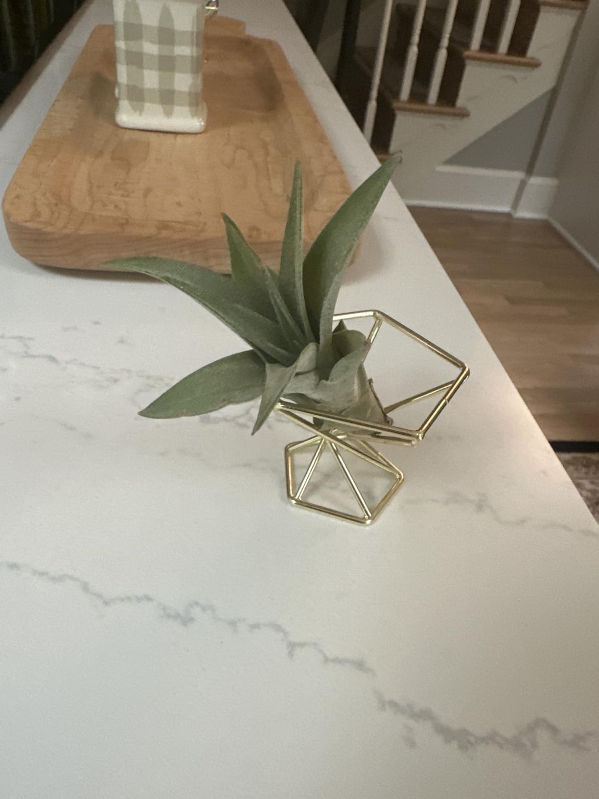 Geometric Air Plant Holder Airplants Rack Metal Plants Stand Planter Shelves Himmeli Living Decor Tillandsia Pot Containers (Gold 3pcs) customer photo 1