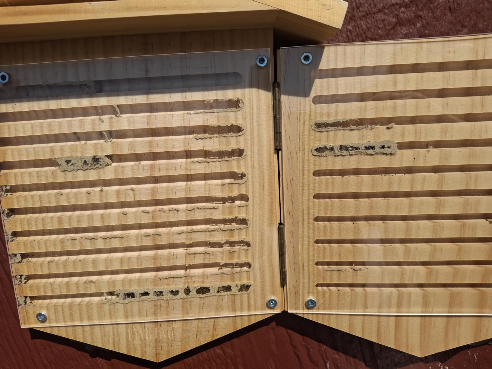 Rivajam Native Bee Observatory | Mason Bee Houses for Pollinating Bees | Pollinator Bee Houses for the Garden Lover | Leaf Cutter Bee Home | Unique Gardening Gifts customer photo 2
