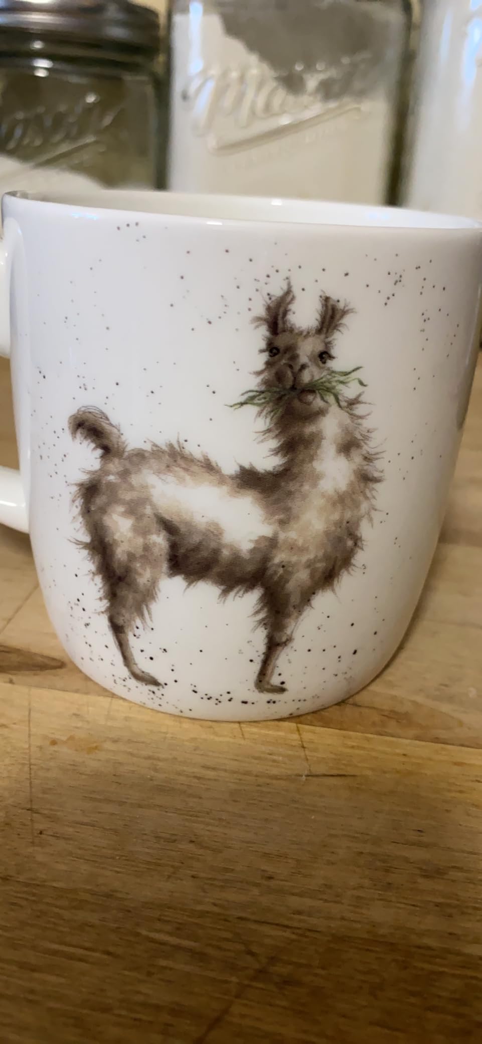 Royal Worcester Wrendale Designs Grow Your Own Mug | 14 Ounce Large Coffee Mug with Hare Design | Made from Fine Bone China customer photo 1