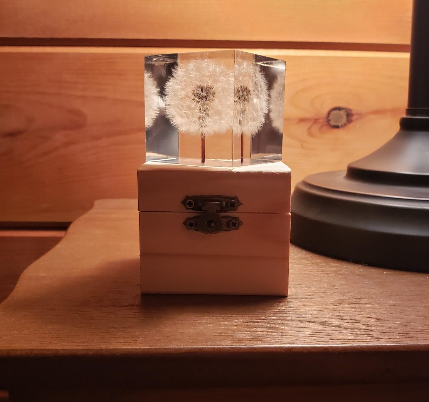Real Dandelion Specimen in Crystal Clear Resin Cube, 2 Inch 3D Preserved Dandelion Puff Paperweight with Wooden Box, Natural Plant Decor for Home Office Gift customer photo 2