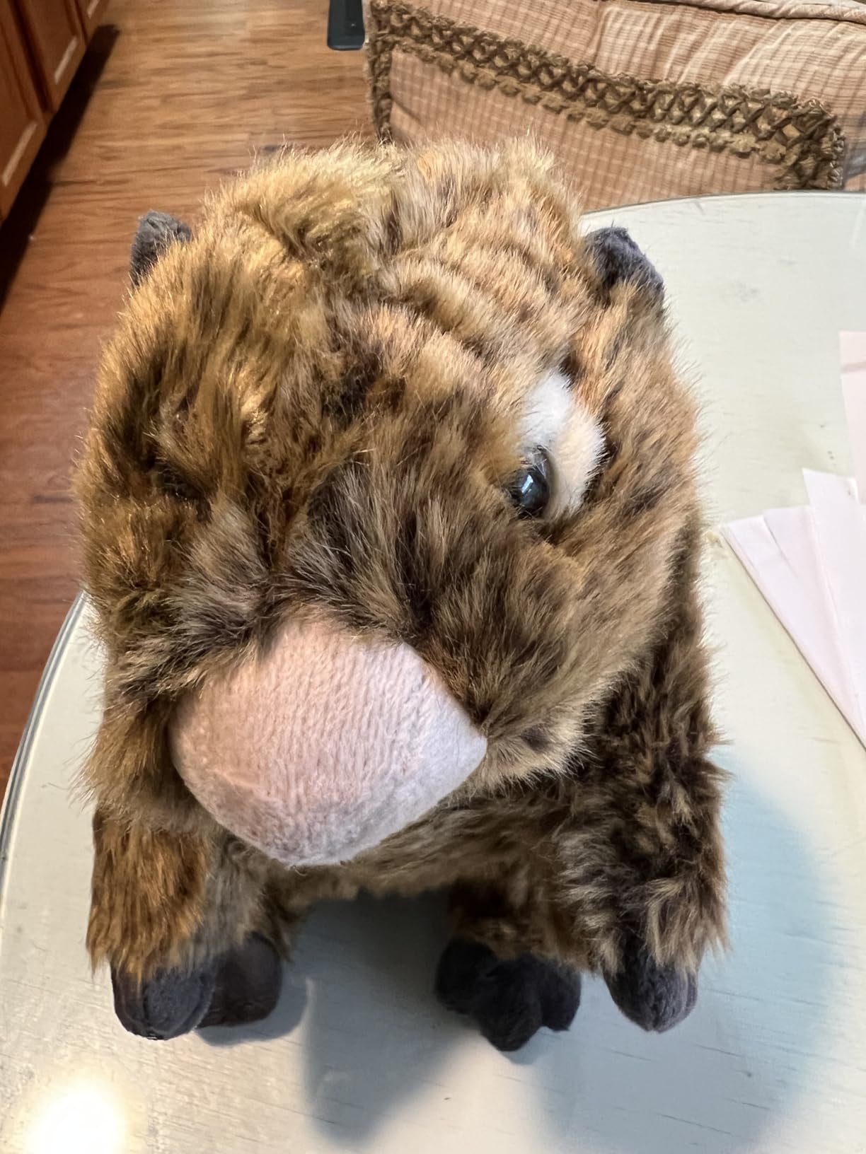 Simulation Groundhog Plush Toy - Cute Real Life Greedy Groundhog Simulation Plush Toys, Lifelike Wild Animals Prairie Dog Stuffed Toys Birthday Gifts for Kids, 10Inches customer photo 1