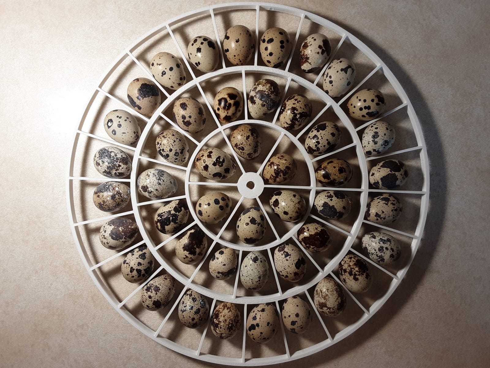Generic 3D Printed Quail Egg Turner for Nurture Right 360 Incubator customer photo 1