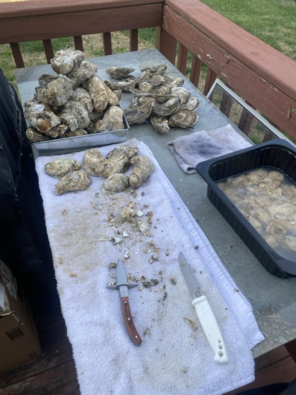 SPEENSUN Oyster Shucking Knife Set, Pakkawood Handle, Level 5 Gloves(L) customer photo 1