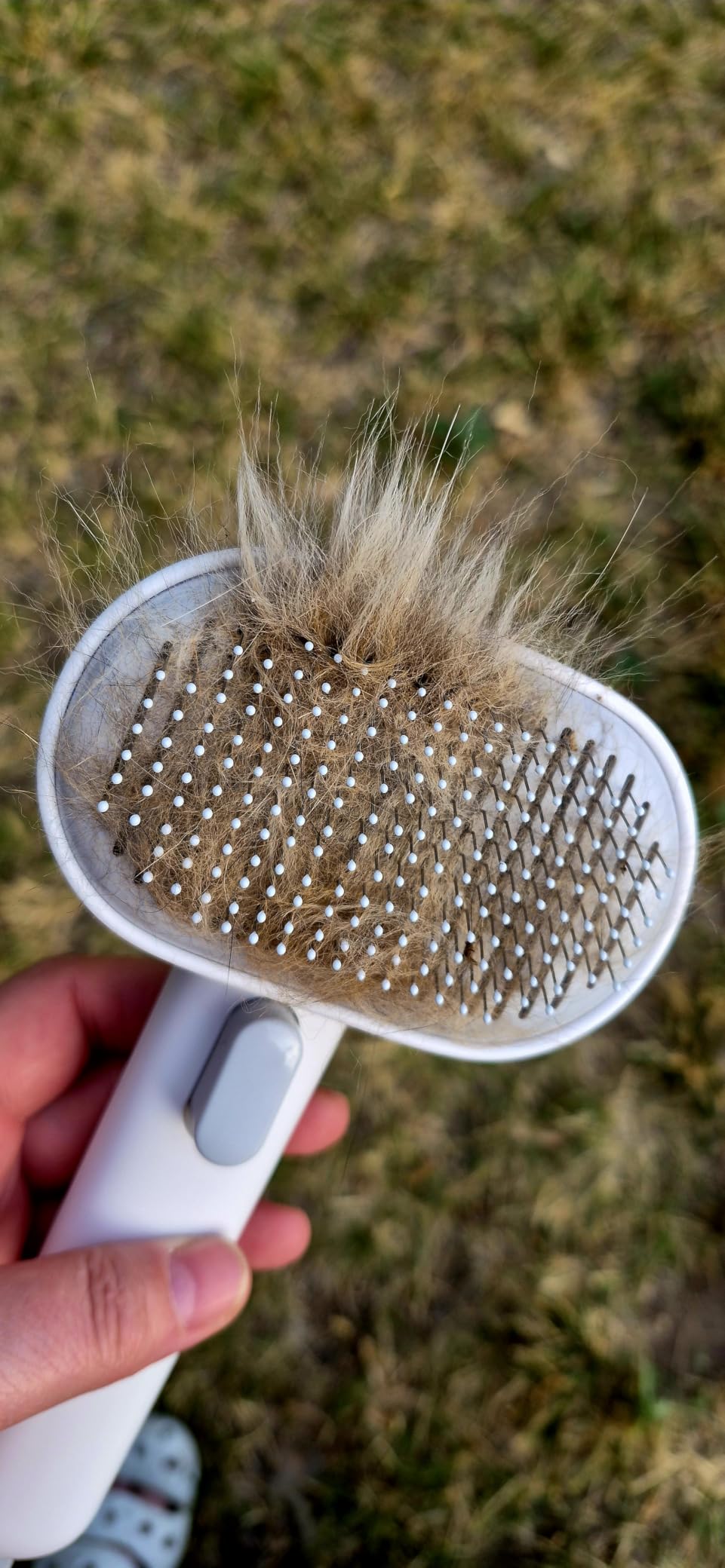 Aumuca Cat Brush for Shedding, Cat Brushes for Indoor Cats, Cat Brush for Long or Short Haired Cats, Cat Grooming Brush Cat Comb for Kitten Rabbit Massage Removes Loose Fur customer photo 2