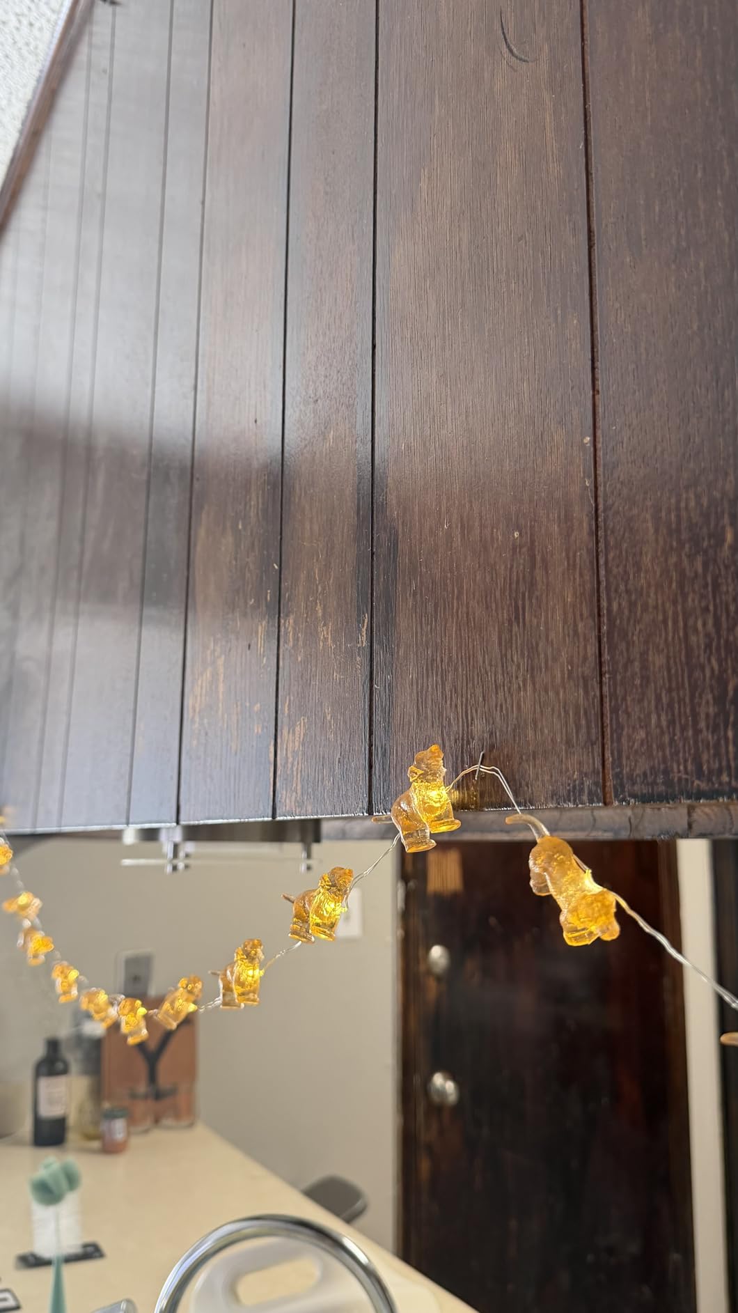 Fairy Labrador String Lights Unique Decorative Light Dog Gifts for Girls Cute Lights 20LEDs 8ft Battery Operated for Birthday Dog Lover Xmas Thanksgiving Decor customer photo 1
