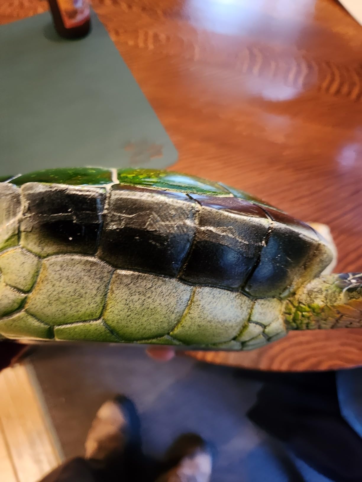 White Coral Reef Sea Turtle Statue - 9