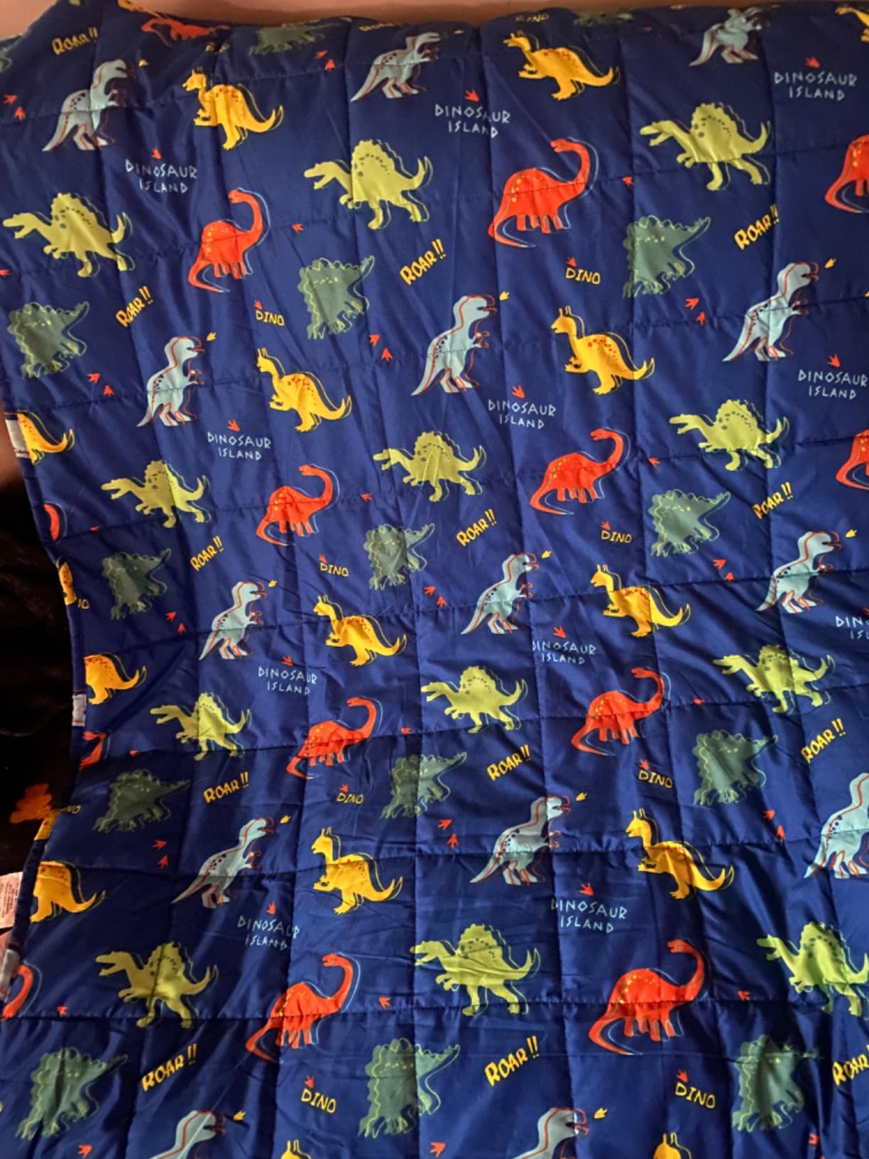 Kivik Weighted Blanket 3lbs, Cooling Blue Dinosaur Heavy Blankets, 36