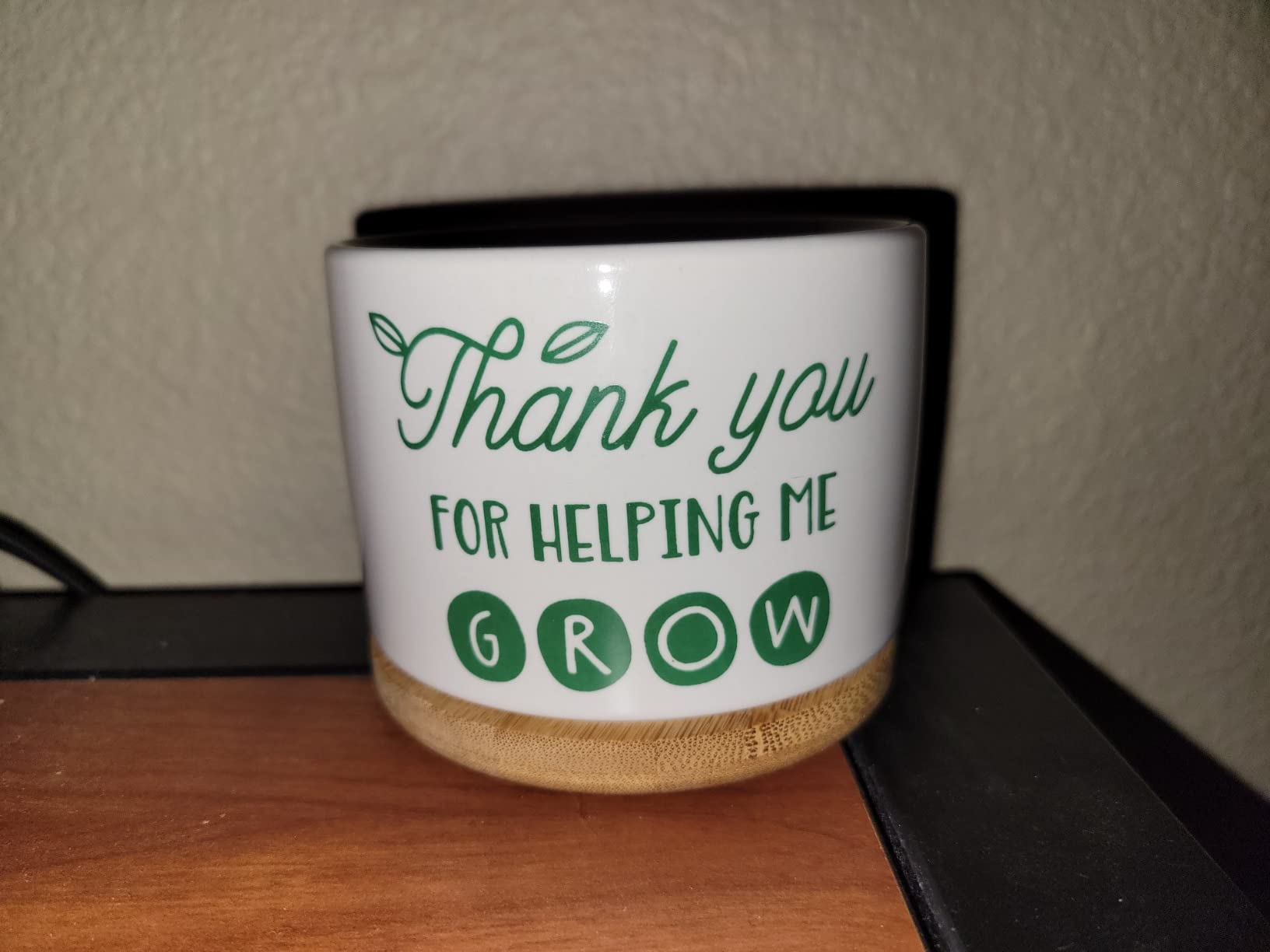 DOMG Teachers Appreciation Gift, Ceramic Succulent Plant Pot Small Flower Planter for Indoor Outdoor Use, Thank You for Helping Me Grow customer photo 1