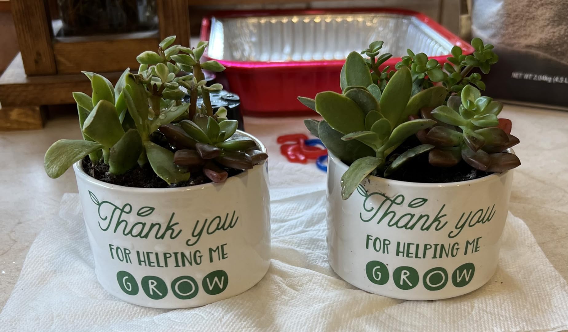 DOMG Teachers Appreciation Gift, Ceramic Succulent Plant Pot Small Flower Planter for Indoor Outdoor Use, Thank You for Helping Me Grow customer photo 2