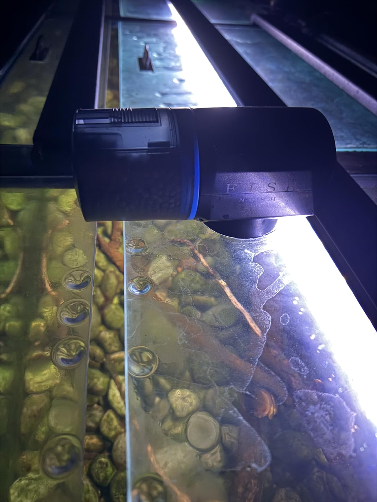 FISHNOSH Automatic Fish Feeder for Aquarium - New Generation 2026, Auto Food Dispenser with Timer for Small Tank, Big Aquariums & Pond customer photo 1