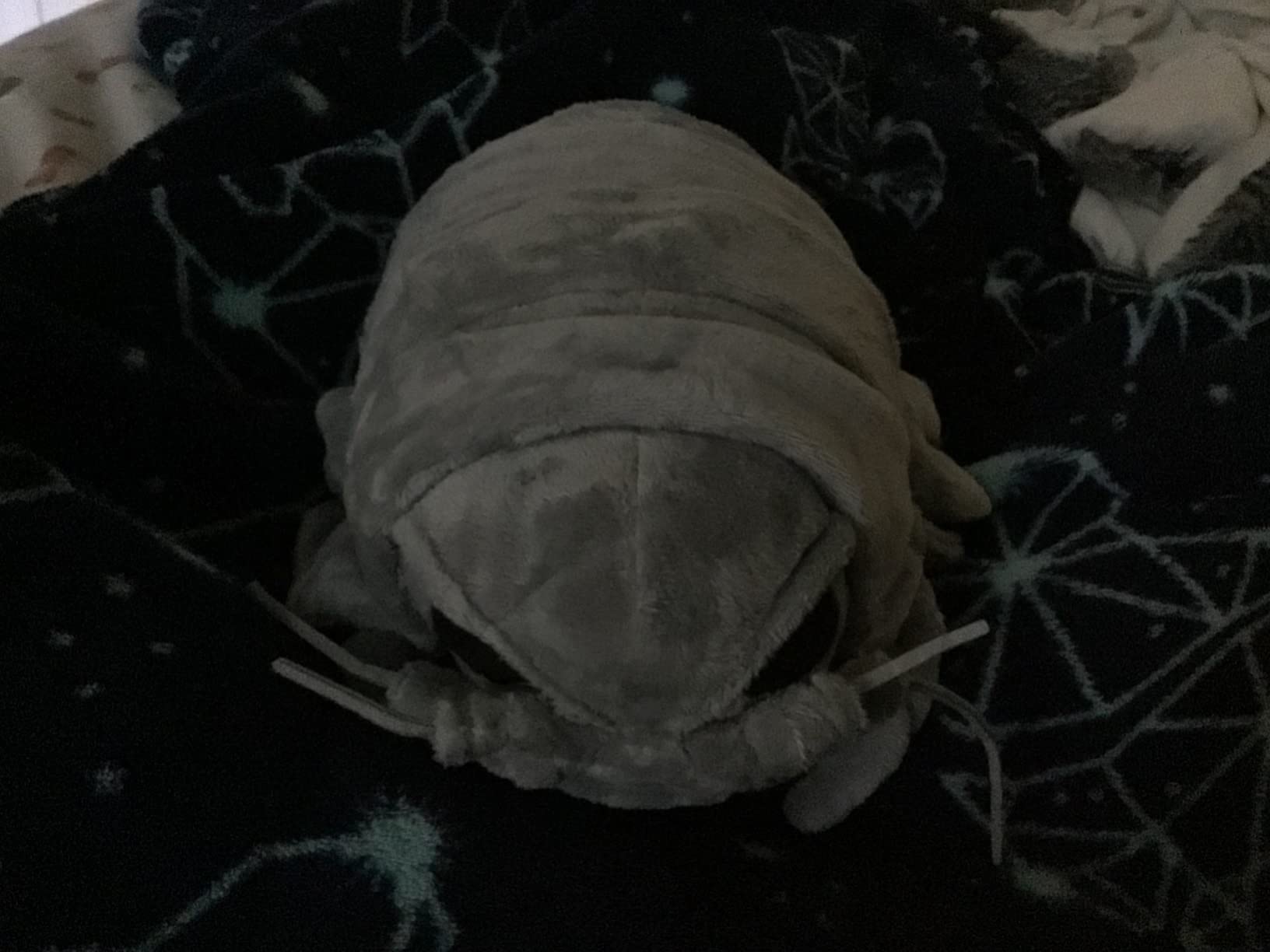 Isopod Plush - Lifelike 12” Isopod Stuffed Animal, Realistic Bathynomus Giganteus Arthropod Insect Plushie, Soft Crustaceans Animals Toys Model Dolls Gifts for Kids customer photo 2