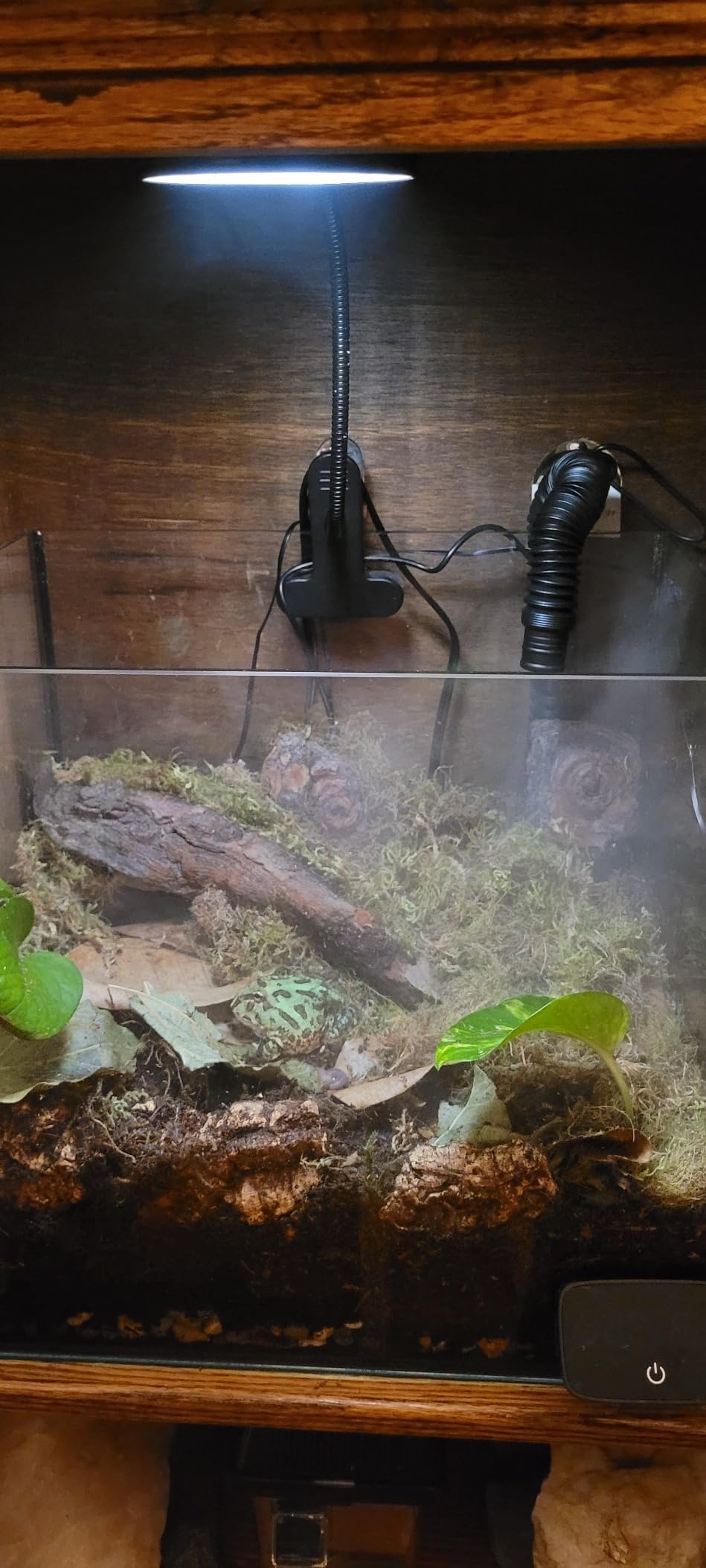 MRREPTILE Reptile Fogger Humidifiers Mister, Misting System for Reptiles, Terrarium Fogger Humidifier, 2.8L Large Capacity Reptifogger [UPGRADE] customer photo 1