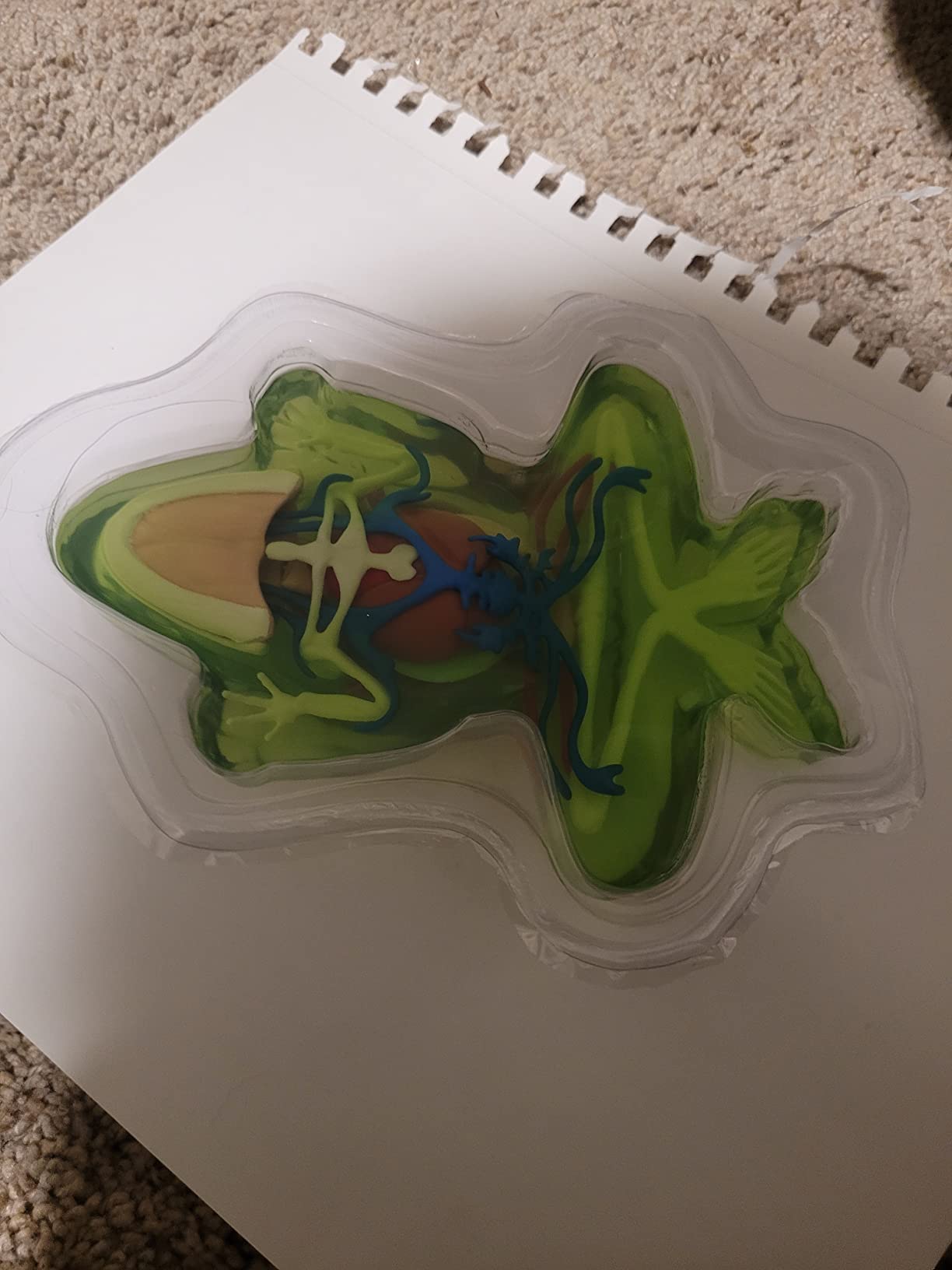 Dissect-It, Deluxe Frog Dissection Kit, STEM Toys for Kids, Ages 6+ customer photo 2