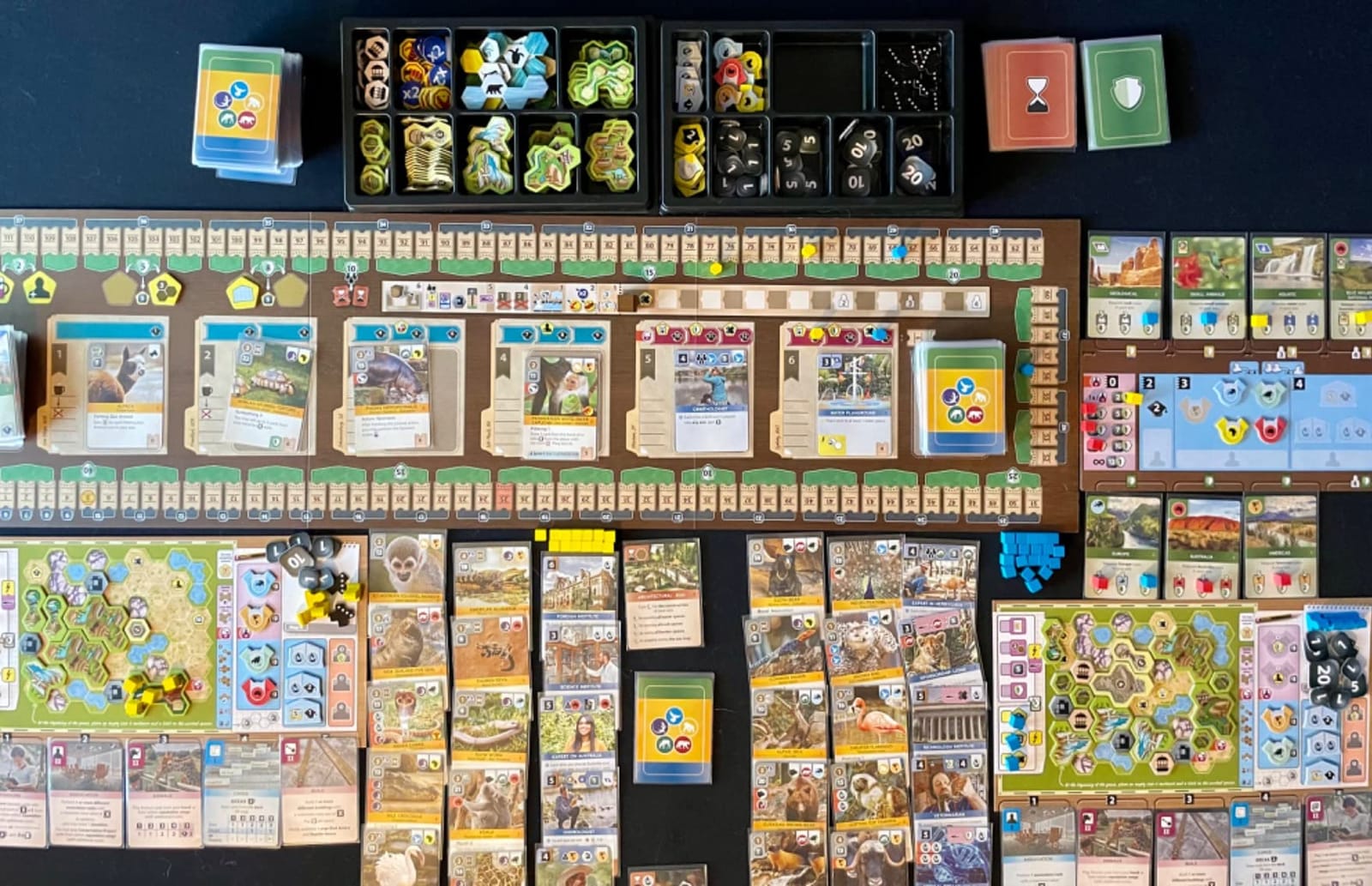 Capstone Games Ark Nova Zoo Management Strategy Board Game for 1-4 Players customer photo 1