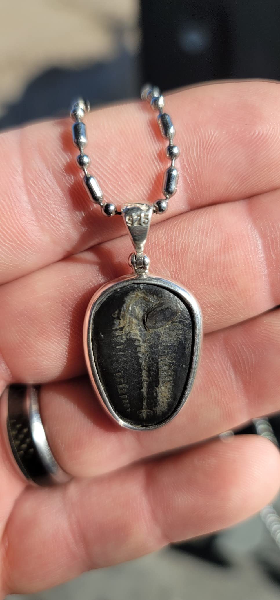Fossilized Trilobite Pendant Sterling Silver customer photo 1
