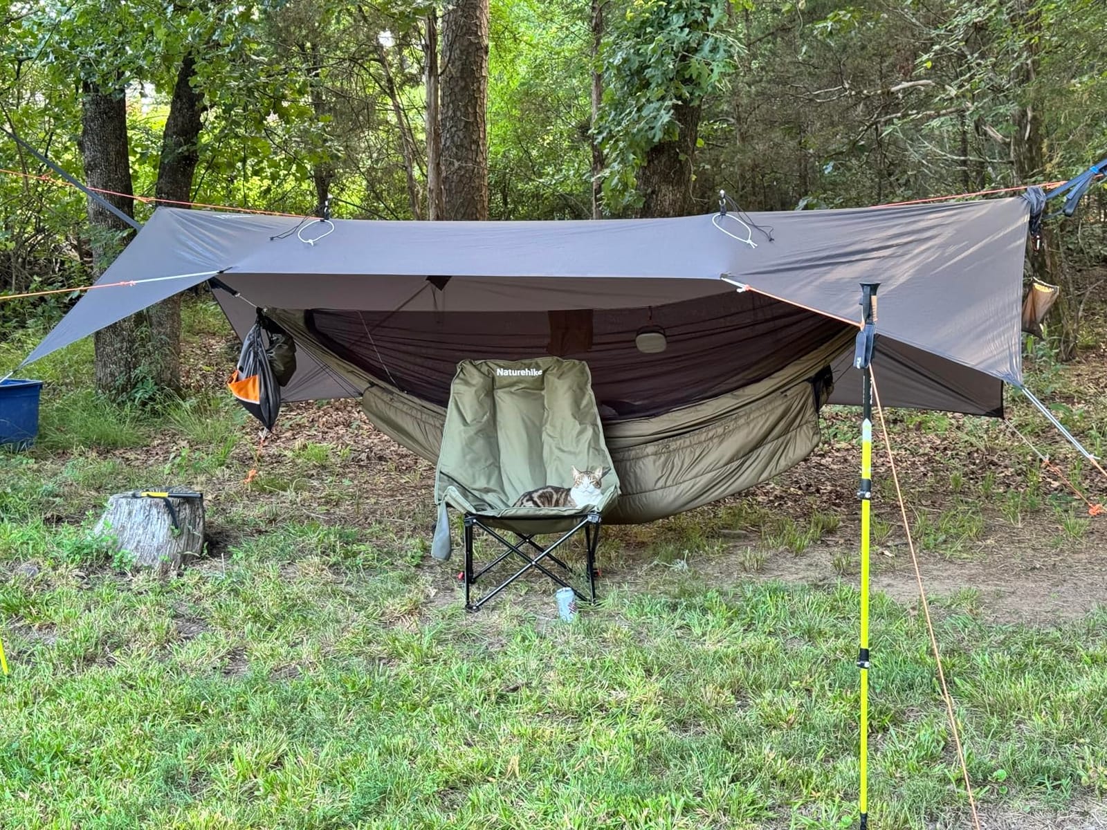 Onewind 11ft Ultralight Camping Hammock with Mosquito Net and Ridgeline | 40D Hexagon Ripstop Nylon, Integrated No-see-ums Bugnet, 64'' Single Wide Panel, Lightweight Hammock for Hiking Backpacking customer photo 2