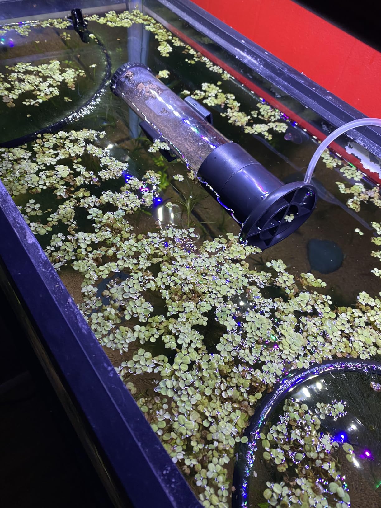 Brine Shrimp Eggs Incubator Hatchery Kit, Fish Tank Hatch Tool customer photo 2