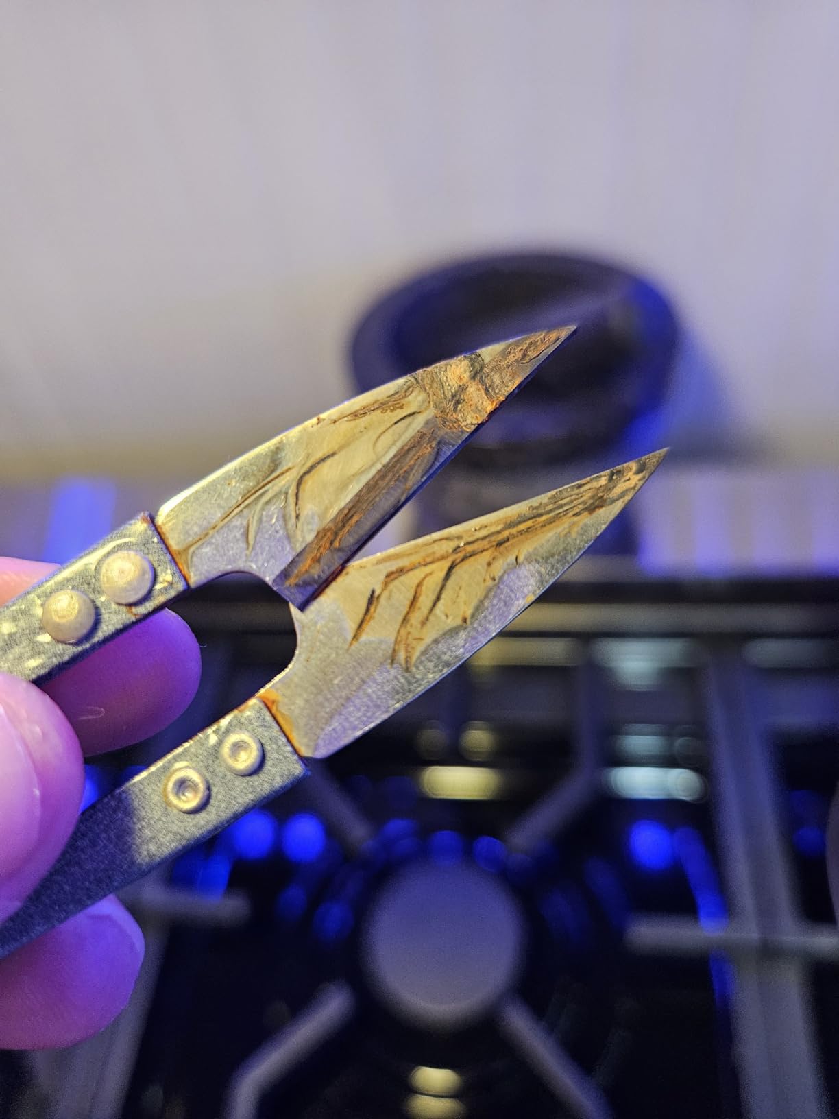 MUUZLL 3 Pack 4.1Inch Bonsai Pruning Scissors, Bud And Leaves Trimmer Yarn Thread Cutter Snips Trimming Supplies, Garden Plants, Gardening Clippers Flower, Stainless Steel Pruners Trimmers customer photo 1