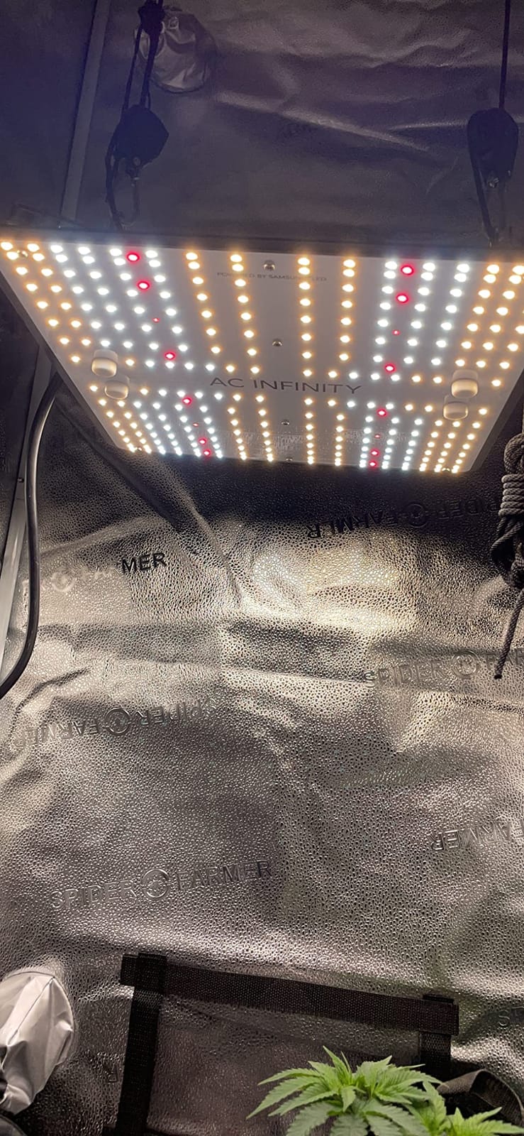 AC Infinity IONBOARD S24, LED Grow Light Board 2x4 with Dimming Control customer photo 2
