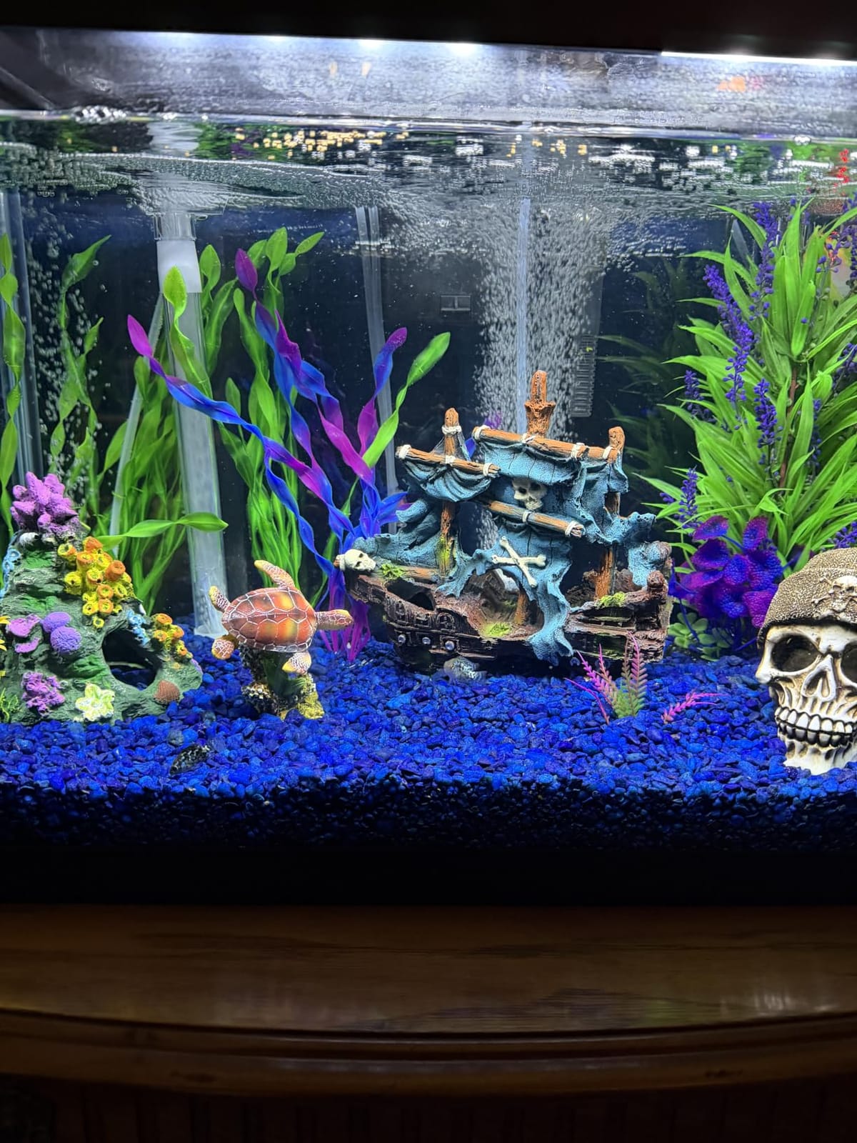 M2cbridge Antique Roman Column Ruins European Castle Aquarium Decorations Fish Tank Hideout Rocks (Blue Pirate Shipwreck) customer photo 1