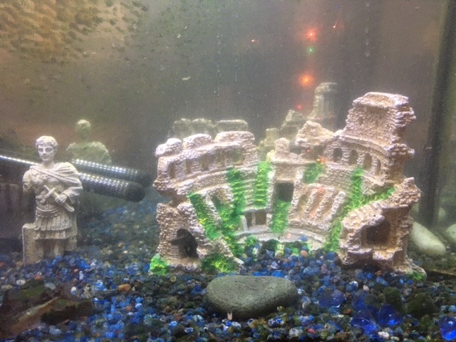 M2cbridge Antique Roman Column Ruins European Castle Aquarium Decorations Fish Tank Hideout Rocks (Blue Pirate Shipwreck) customer photo 2