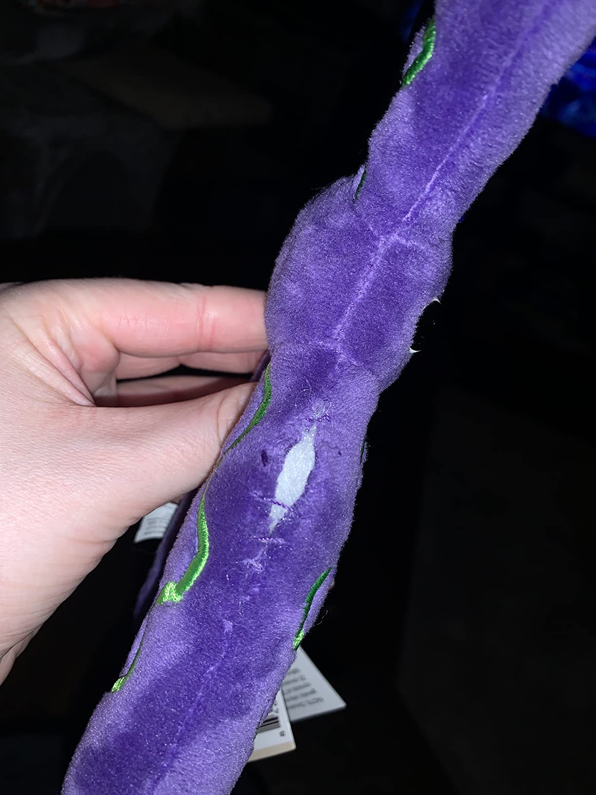 GIANT MICROBES Chromosome Plush, Genetics Gift, DNA Gifts, Genealogy, Ancestry Gift, Biology Plushies, Genetic Counselor, Forensic Science Gifts, Biology Models customer photo 1