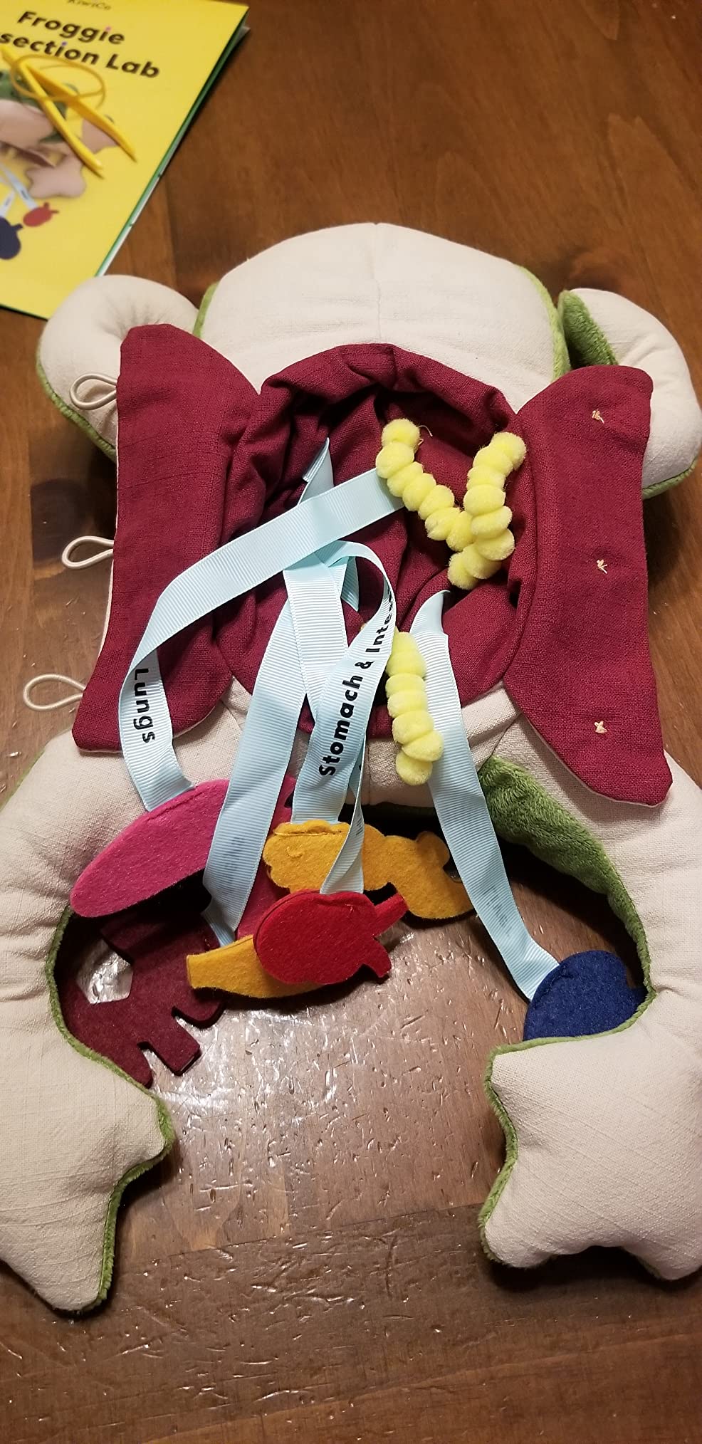 KiwiCo Froggie Lab Dissection Plush Animal Toy 5-Piece Anatomy Set, Ages 3+ customer photo 2