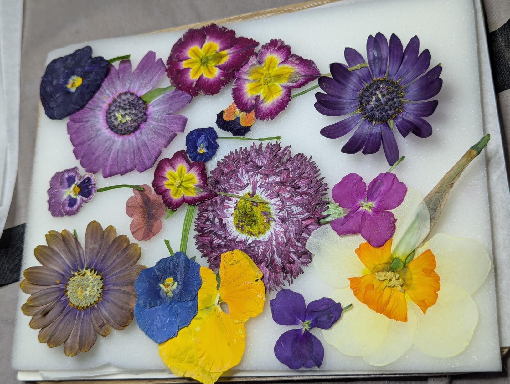 Professional Flower Press Kit 6 Layers 6.3 x 8.3 inch, Flower Pressing Kit for Adults Kids, Leaf Press,Great Gift Valentine's Day customer photo 2