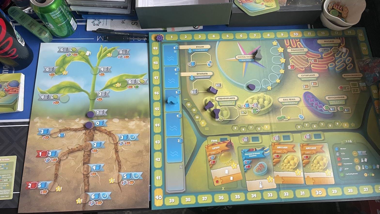 Cellulose: A Plant Cell Biology Game | Mensa Recommended Strategic & Entertaining Game to Learn Photosynthesis, DNA & Biochemistry | Educational STEM Board Game for Families, Students & Teachers customer photo 1