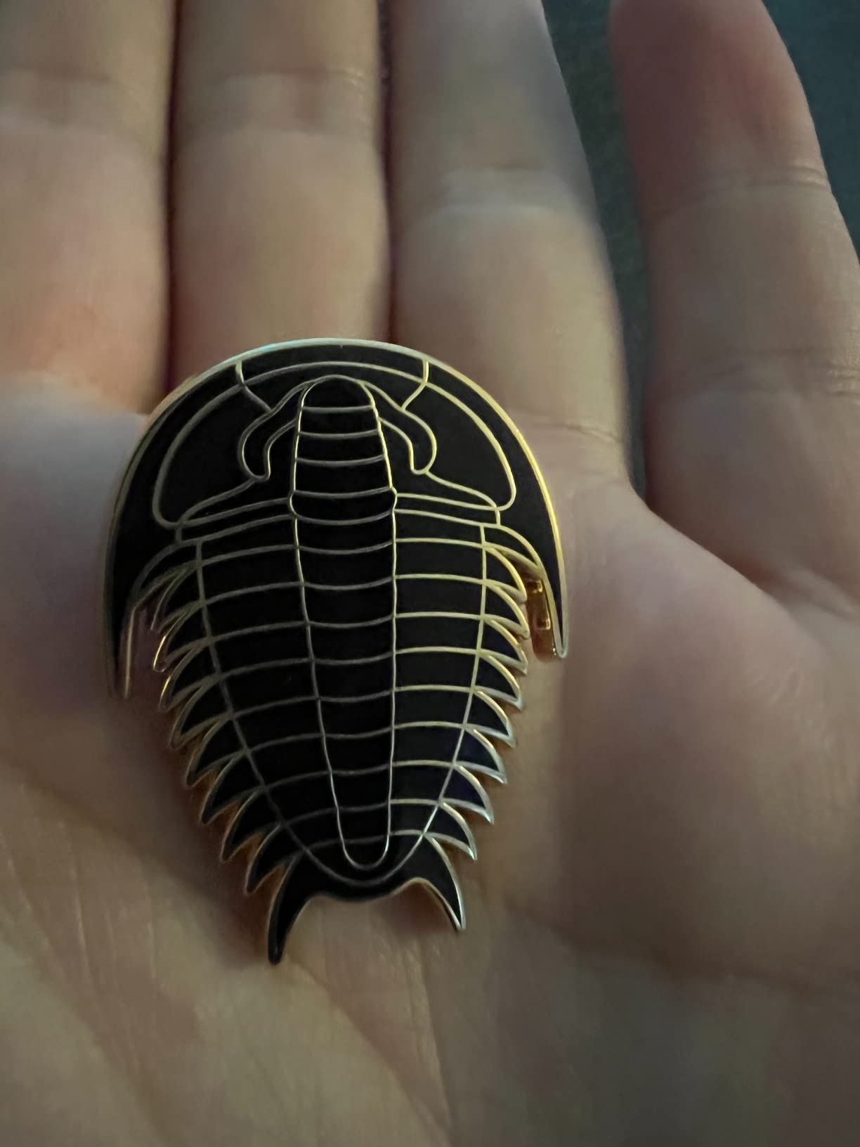 Pinsanity Black Trilobite Enamel Lapel Pin customer photo 1