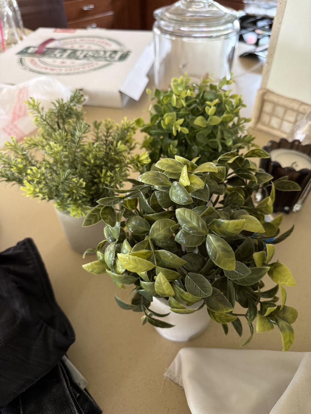 Der Rose 3 Pack Fake Plants Mini Faux Plants for Shelf Classroom Decor customer photo 1