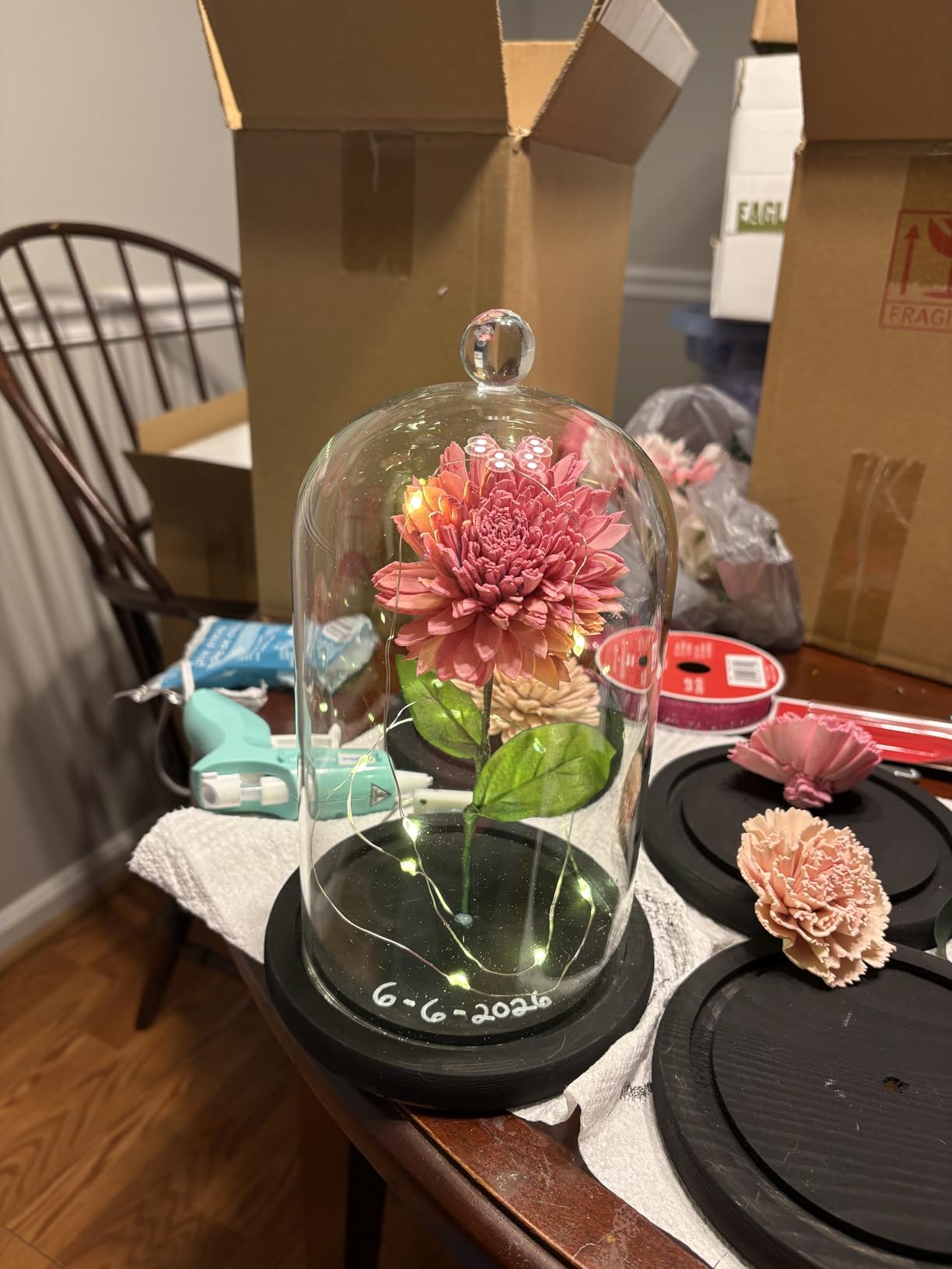 Lyellfe 2 Pack Cloche Glass Dome with Rustic Wooden Base | 8'' x 4.7'' Dome Cloche Glass Cloche Bell Jar Display for Plants, Fairy Lights or Table Decor customer photo 2